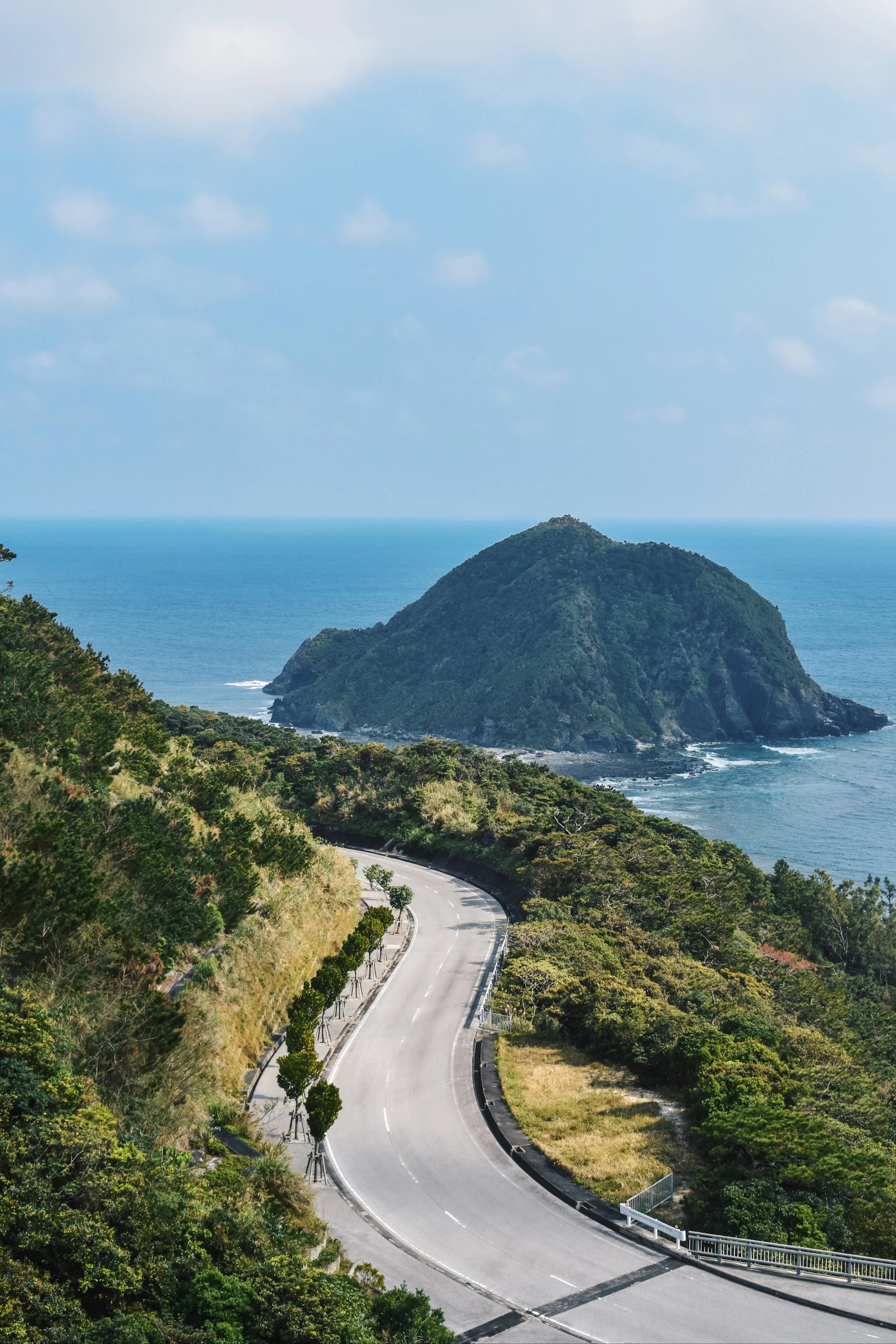What It Was Like Driving in Okinawa: A Guide to Tolls, Parking, Rules &amp; Habits