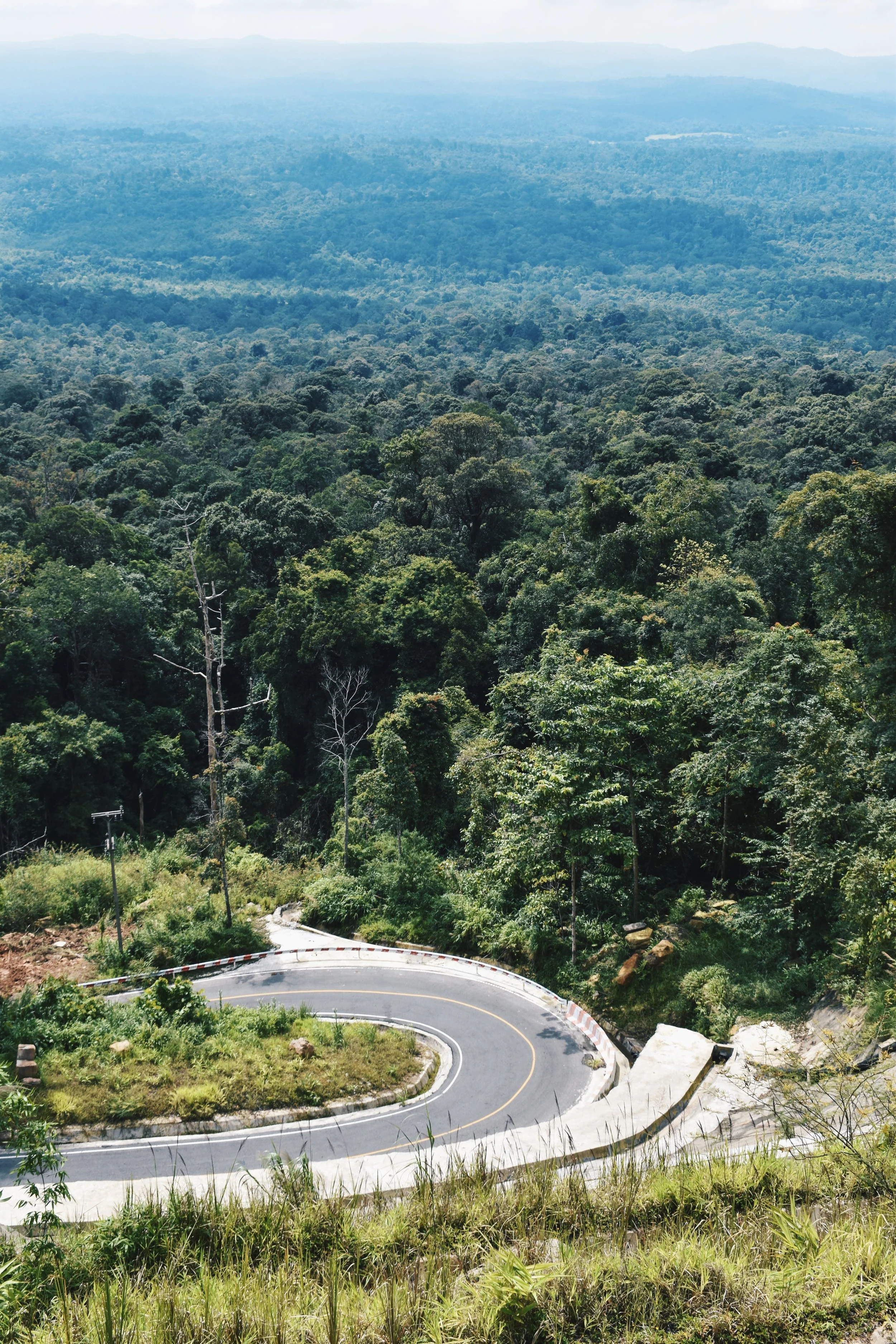 Should You Self-Drive or Hire a Driver for Khao Yai? | A First Hand Experience