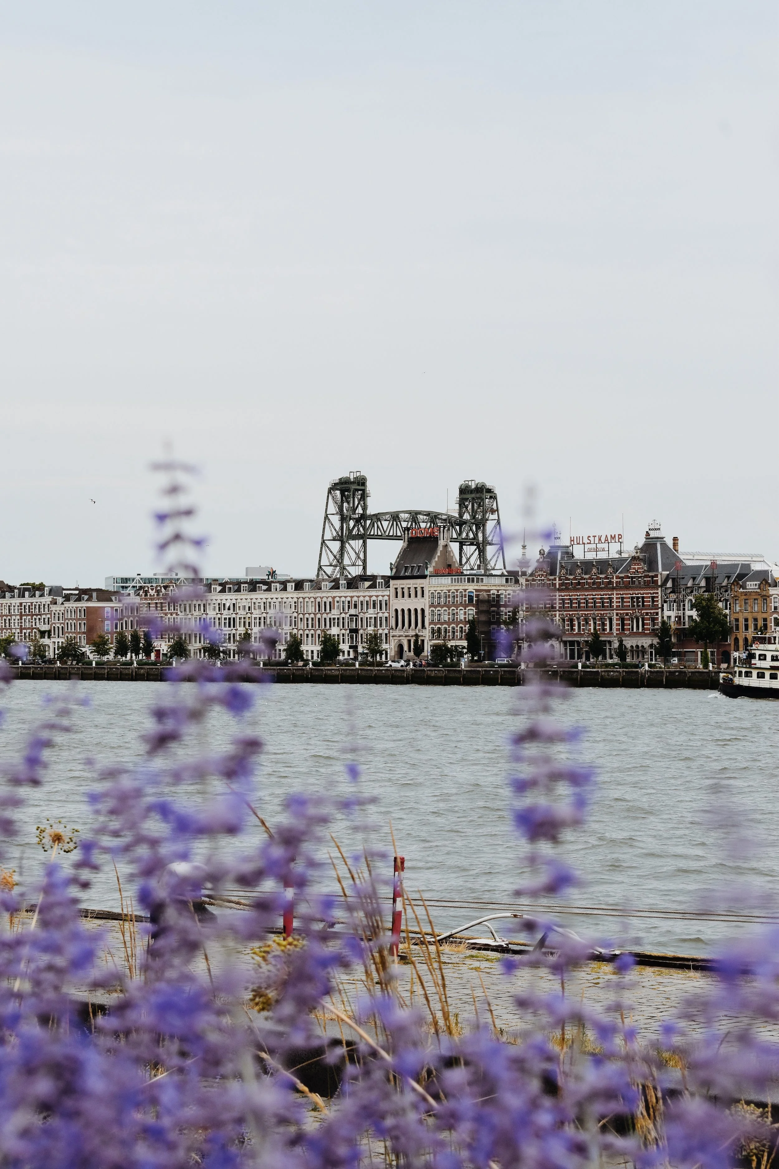 Places to Go in Rotterdam: A Weekend City Break Itinerary