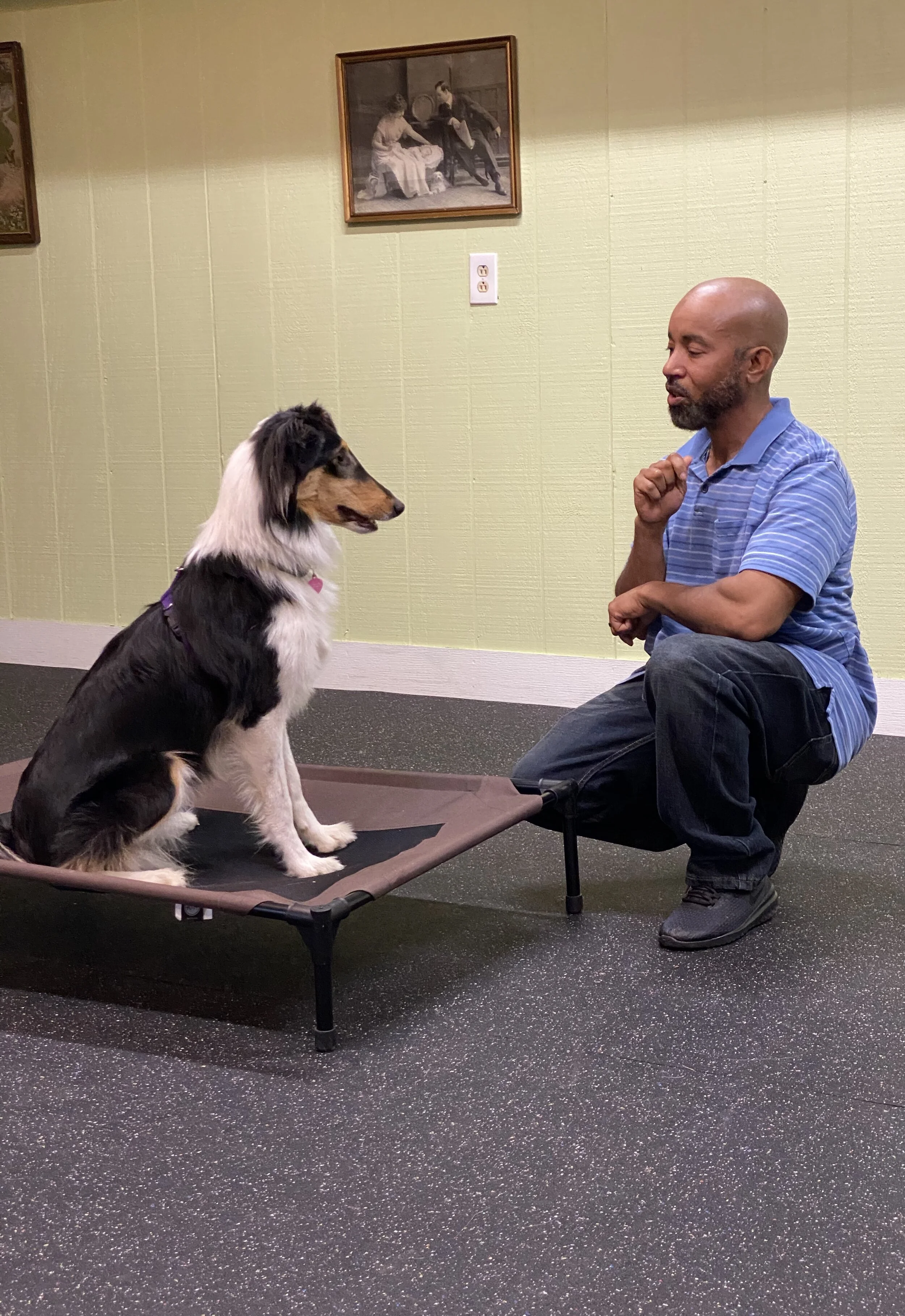 service dog trainer training