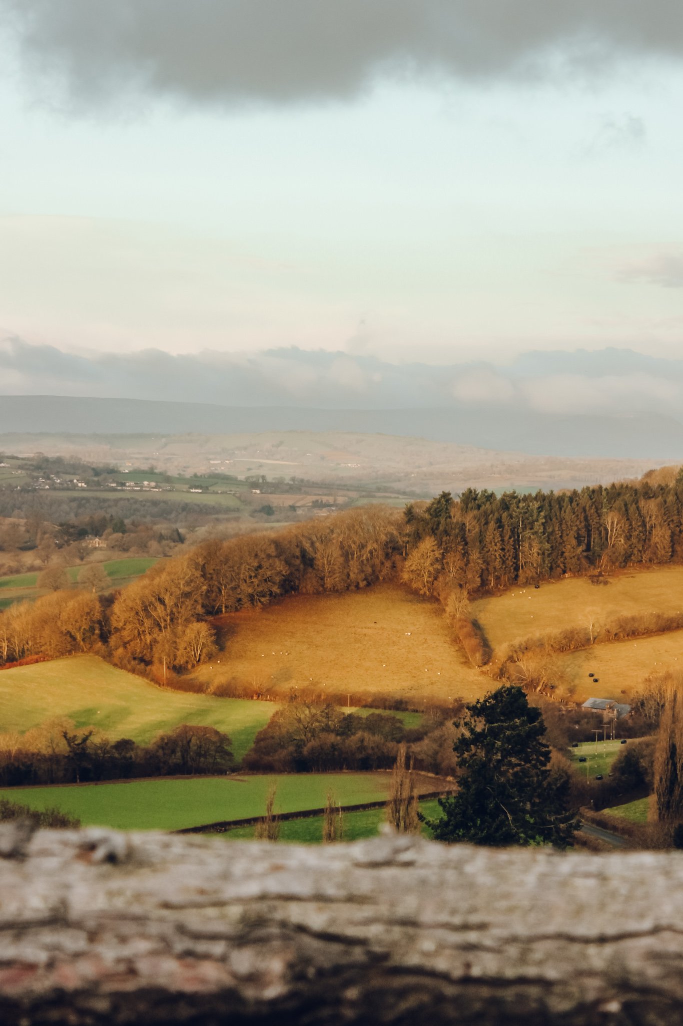 Glamping at The Dragon's Rest, Herefordshire