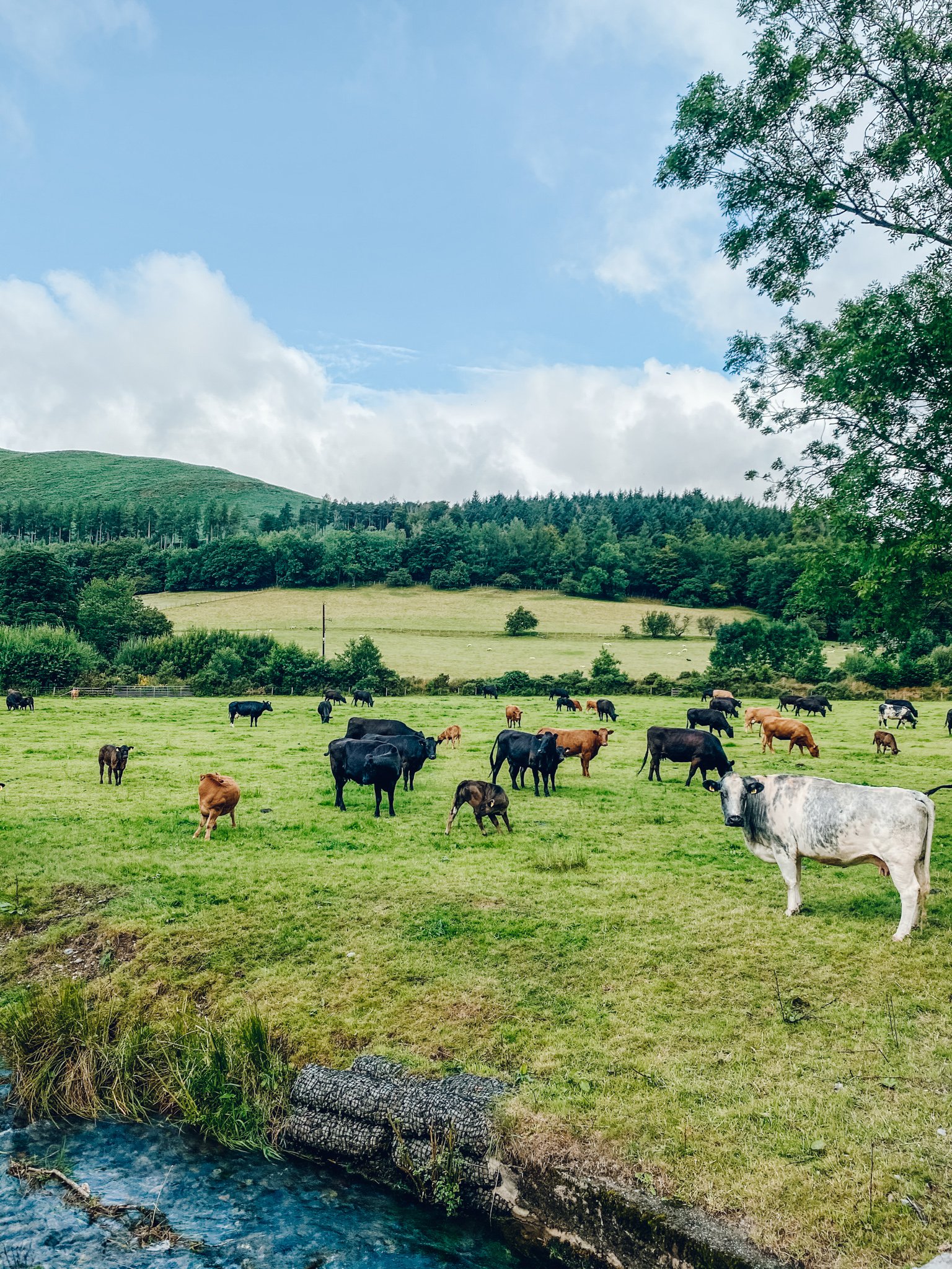 Top 11 things to do in the lake district, uk