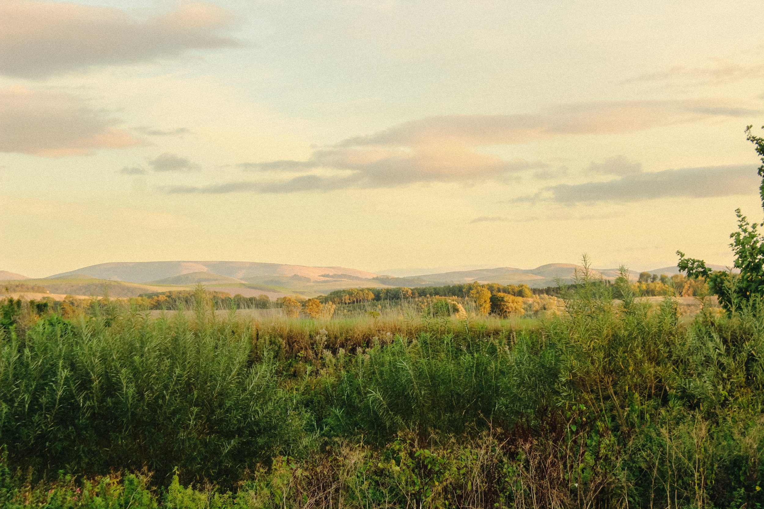 a northumberland road trip