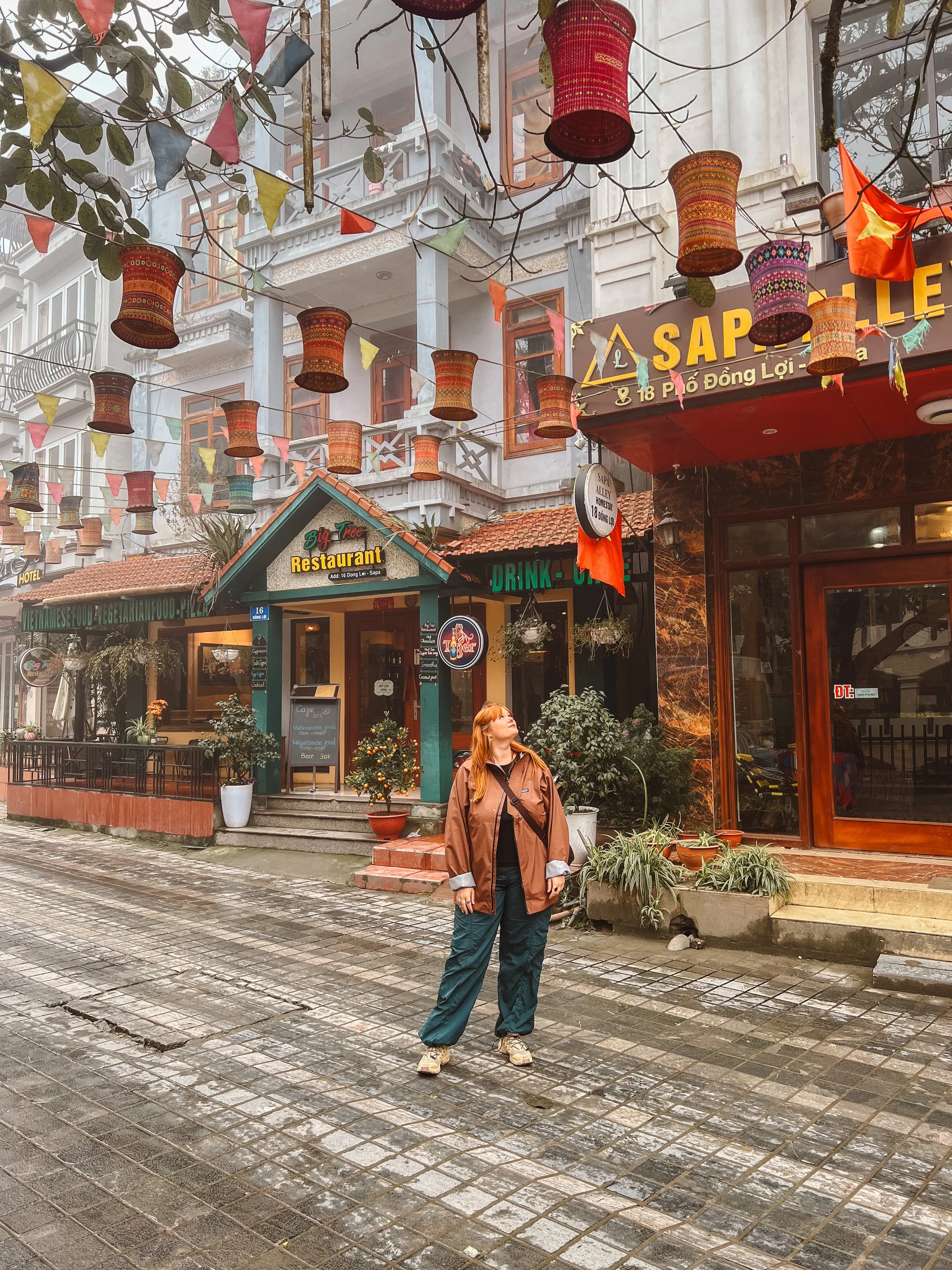 the ultimate guide to sapa, vietnam