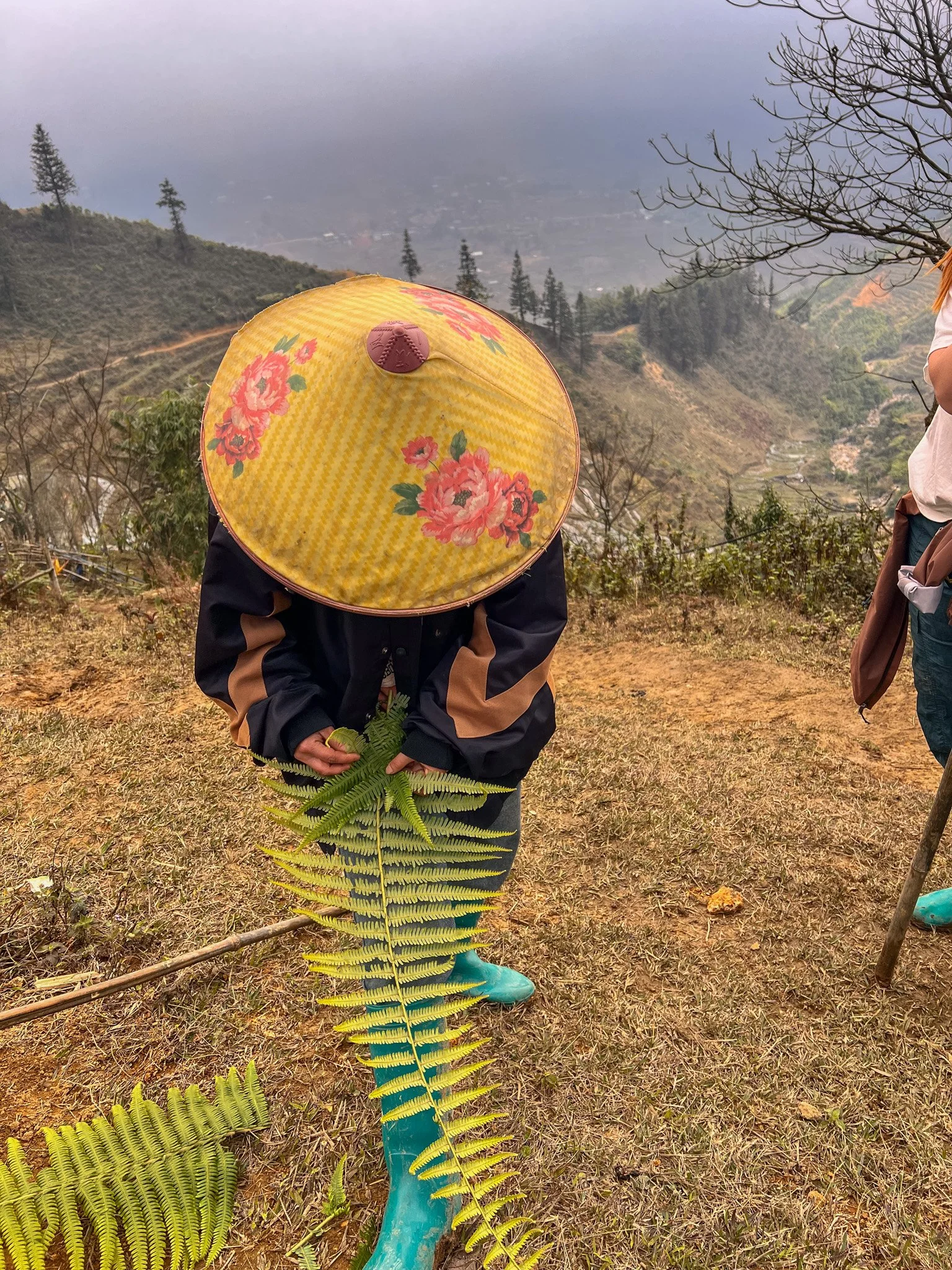 the ultimate guide to sapa, vietnam