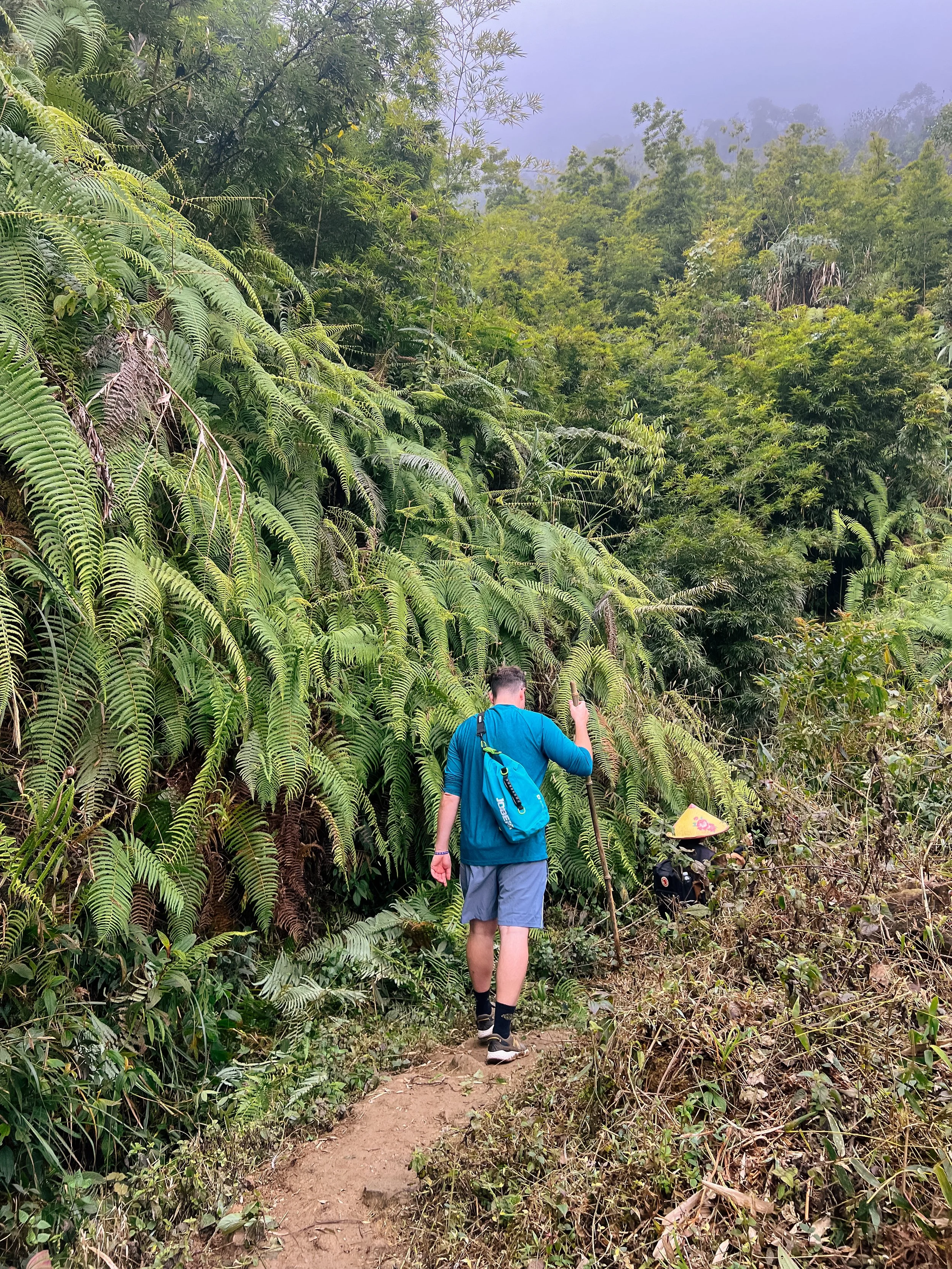 trekking in vietnam sapa