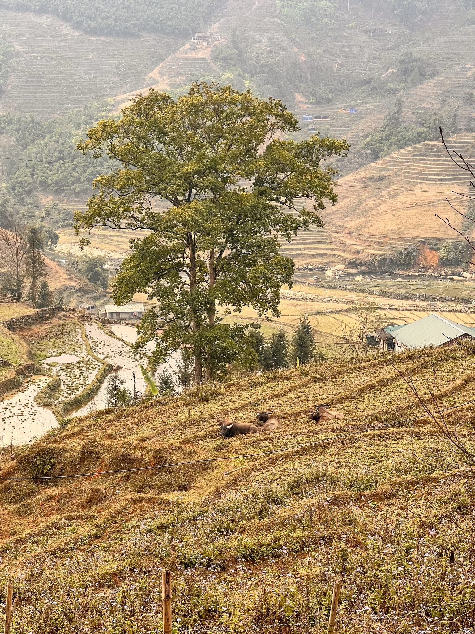 Vietnam photos-27.jpg
