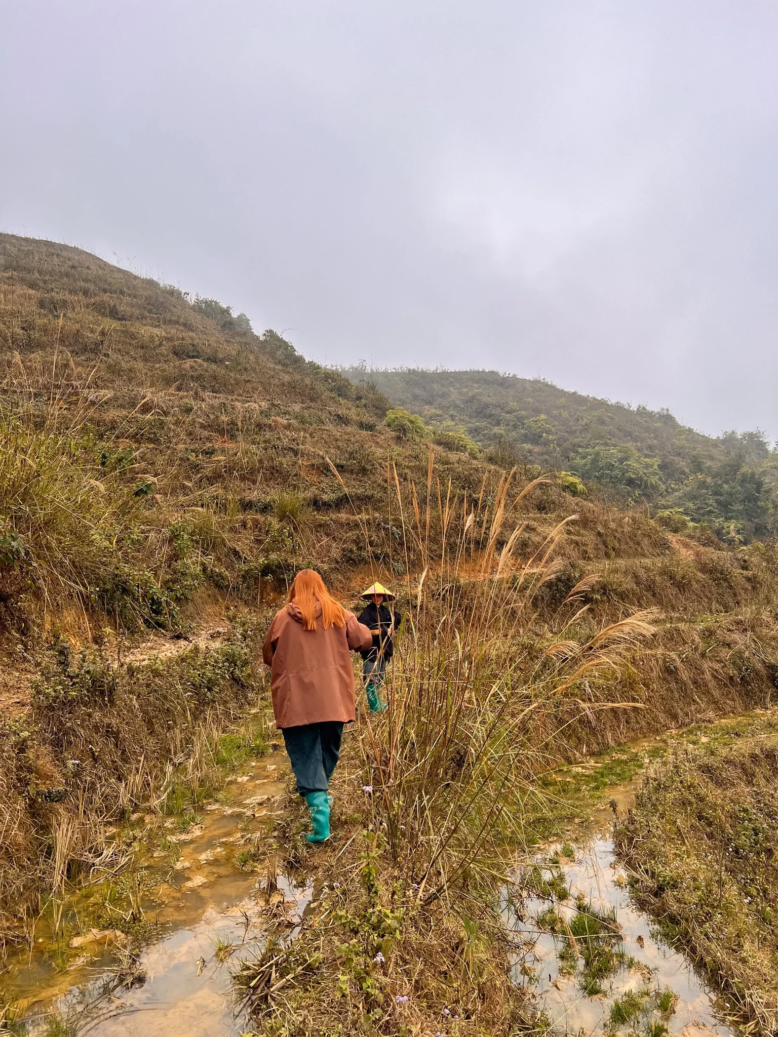 sapa