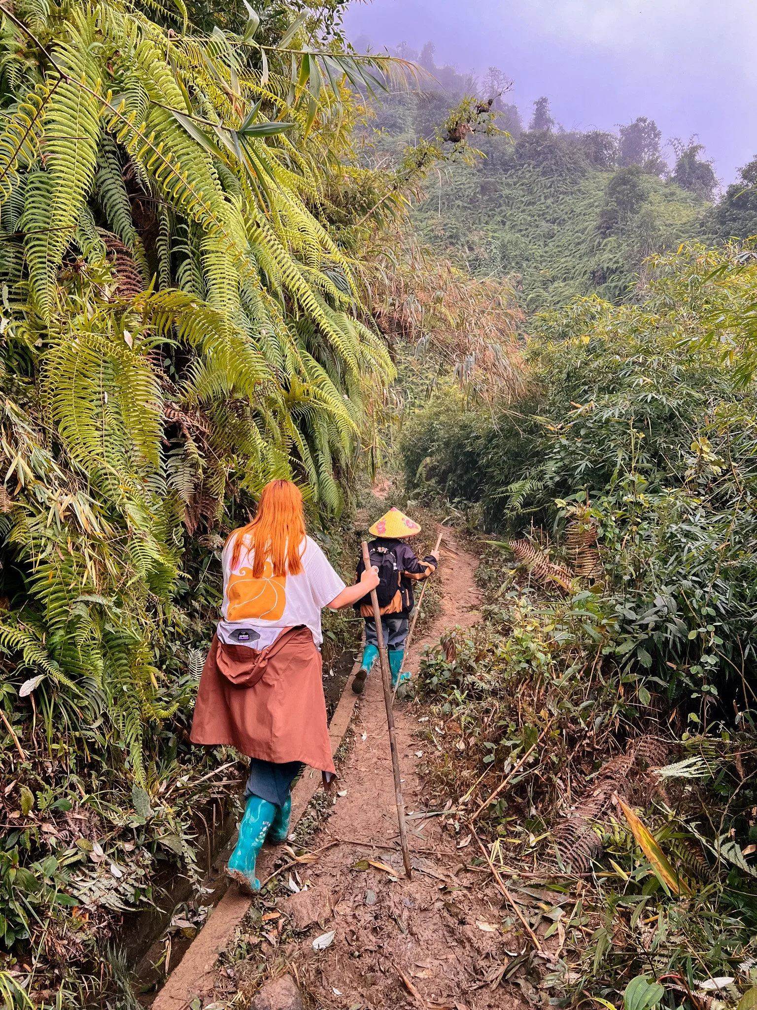 Trekking in the rice fields of vietnam
