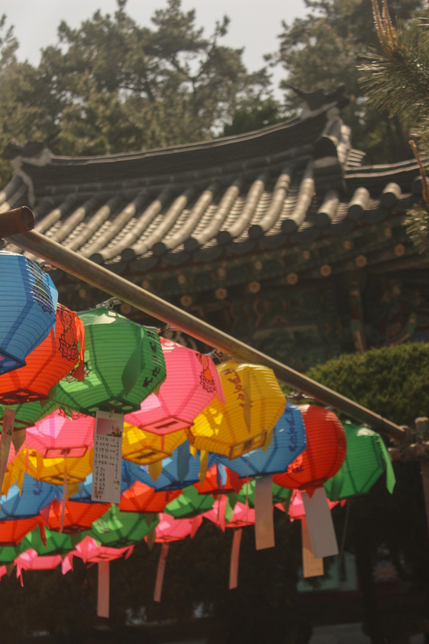 the ultimate 5 day busan itinerary