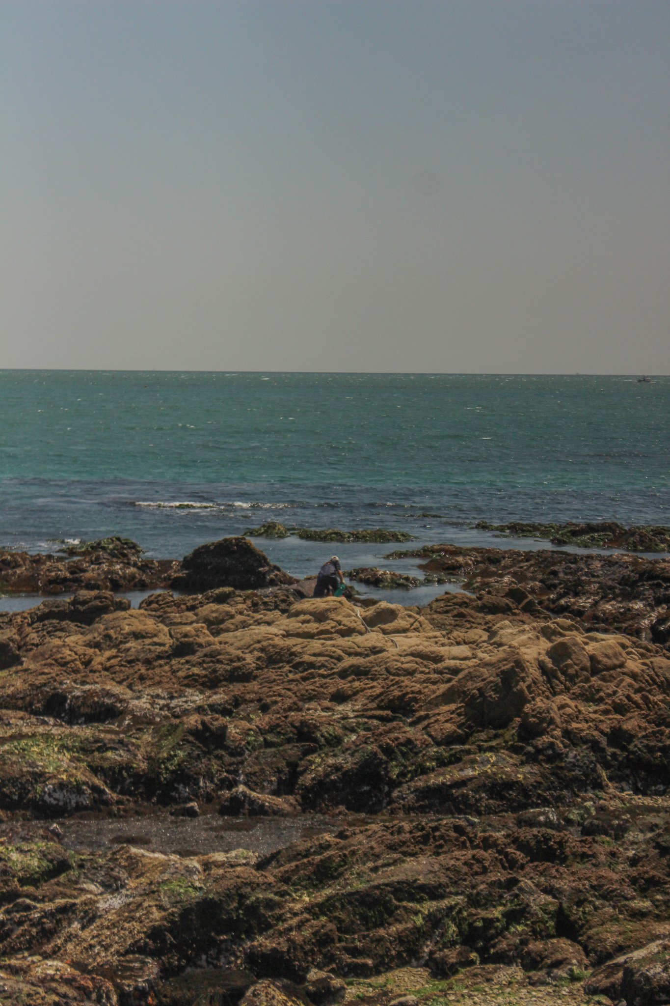 One of Busan’s most scenic rides: Haeundae Beach Train &amp; Sky Capsule