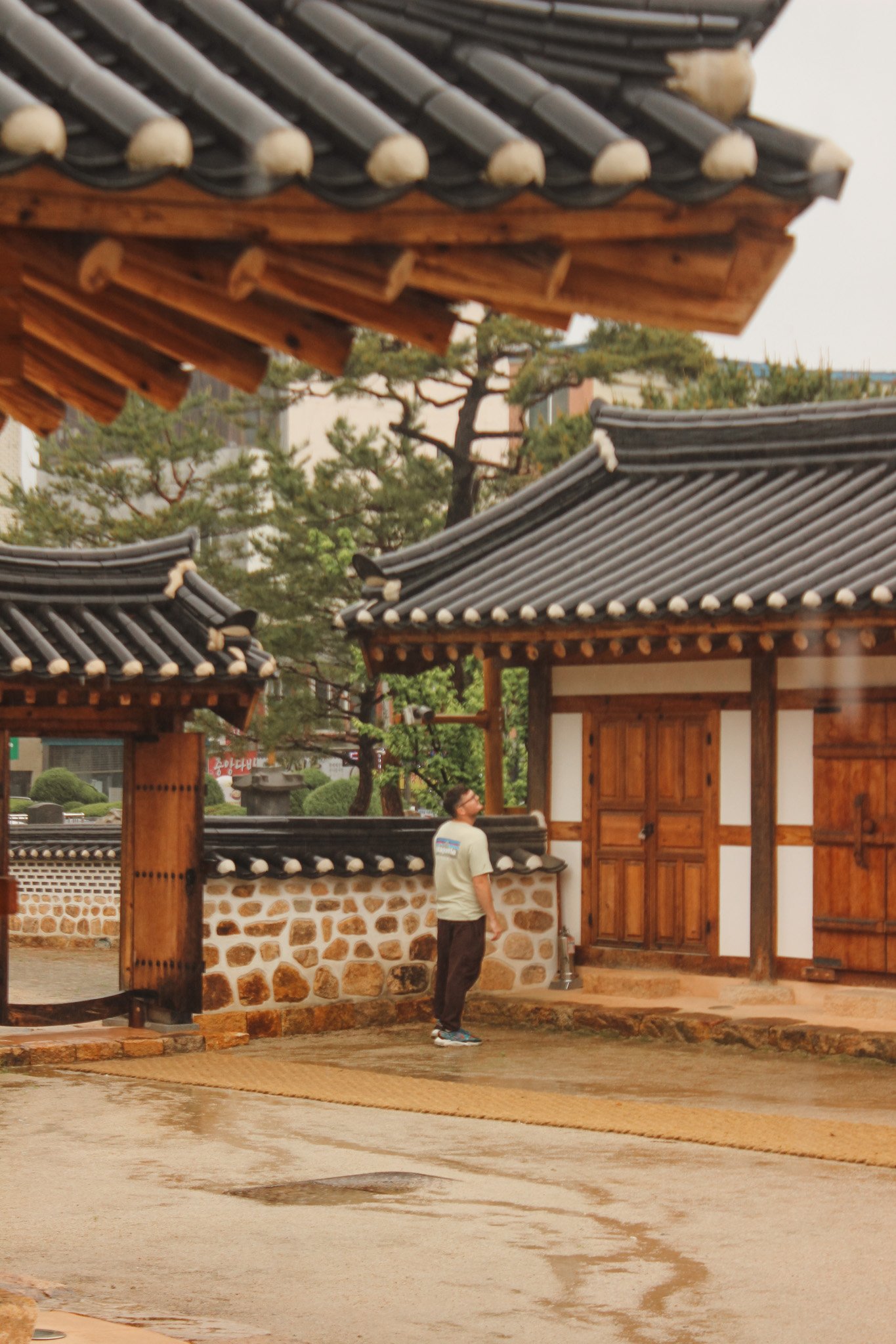 futher than seoul - five other places to visit in south korea