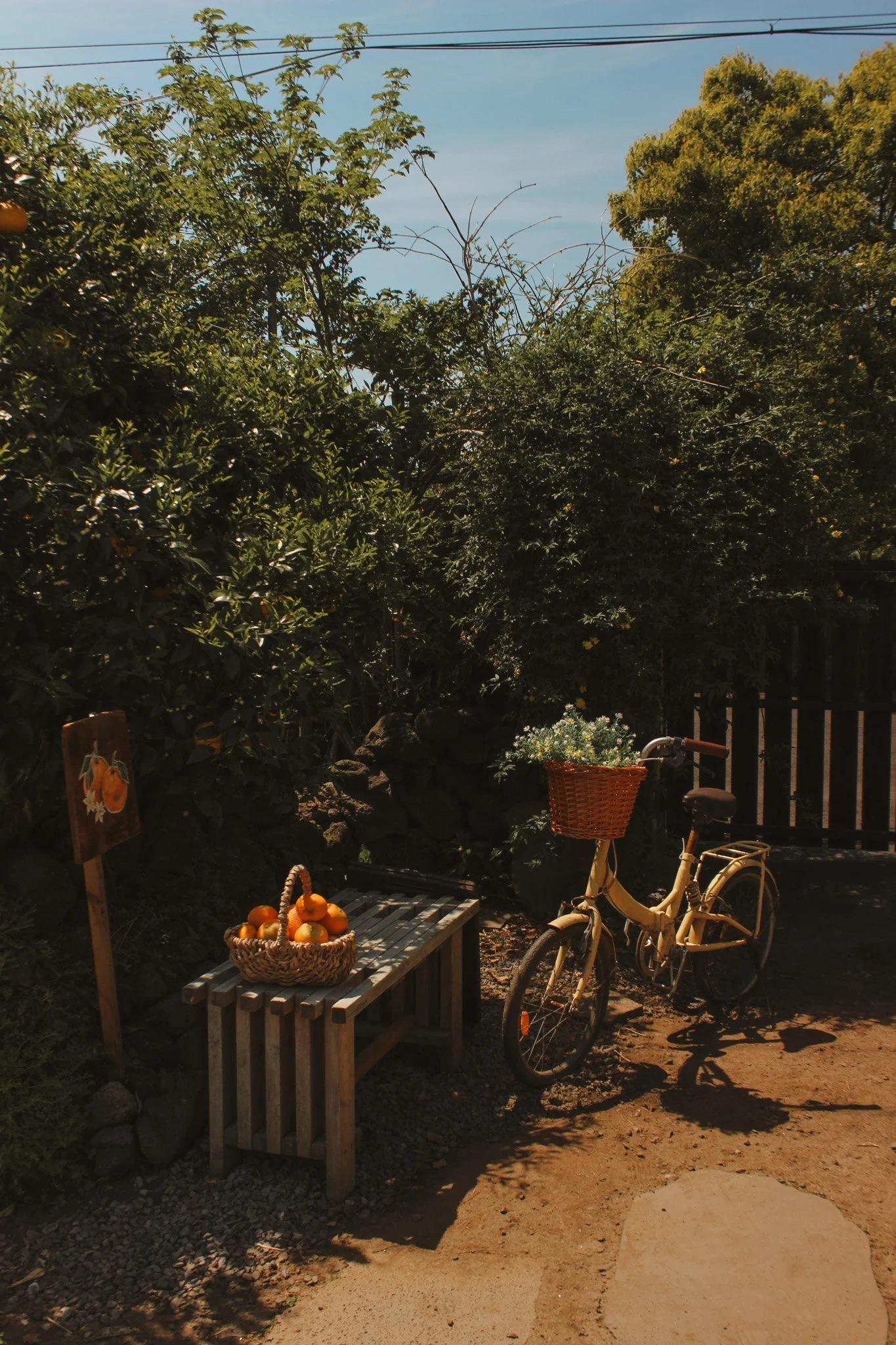 beyond seoul - five other cities to explore in south korea