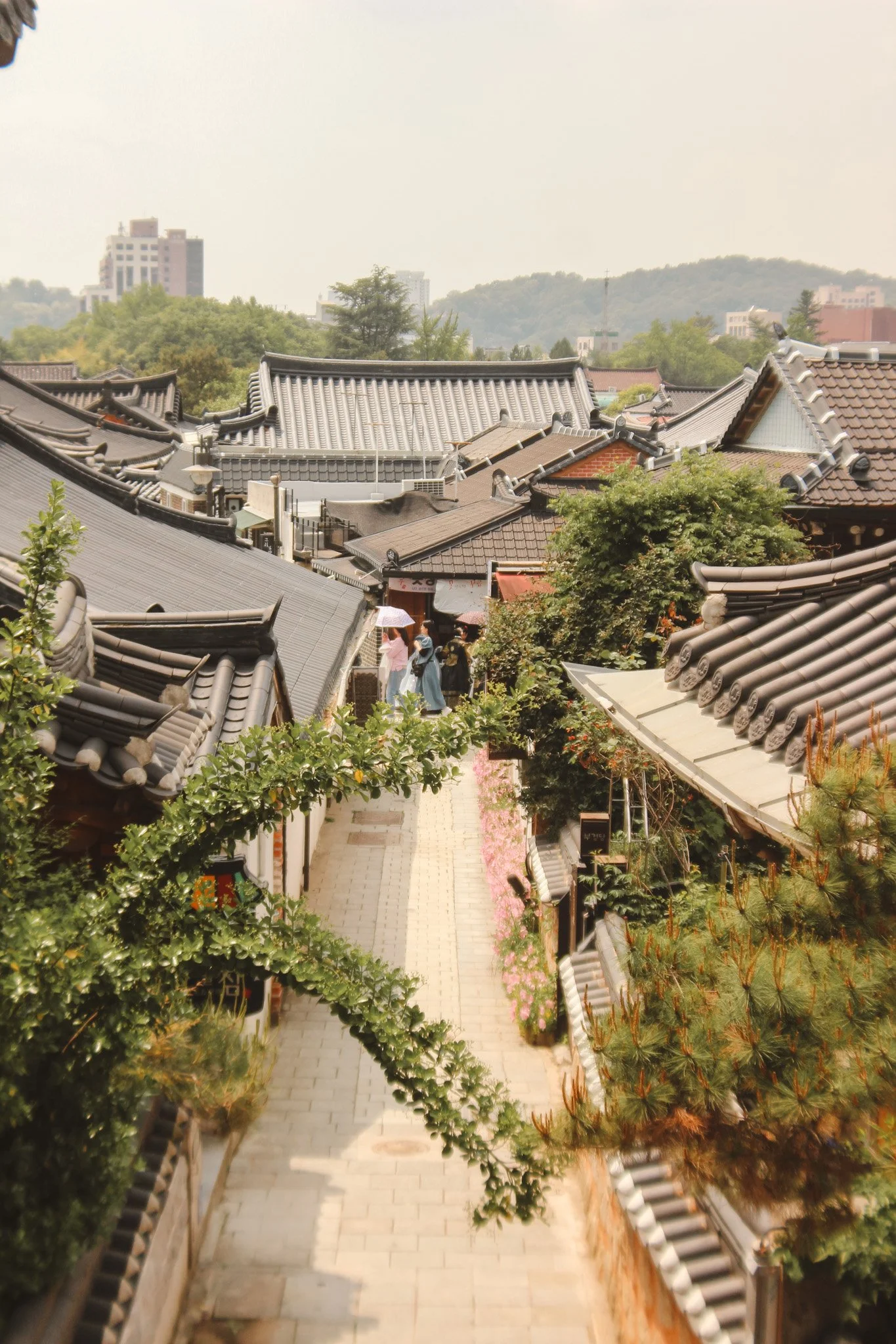 Further than Seoul- 4 incredible places to visit in South Korea