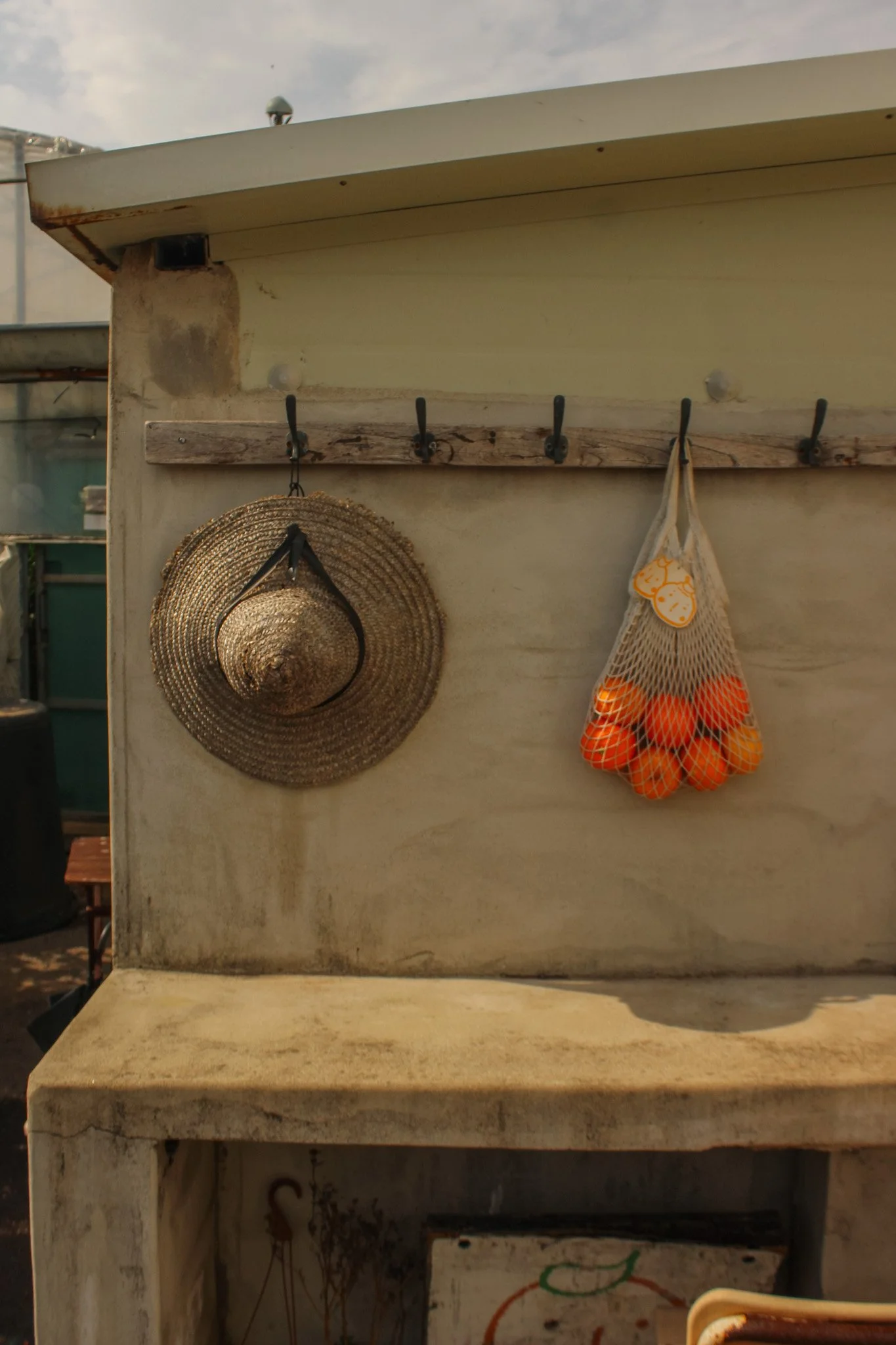 further than seoul - exploring Jeju island in South Korea