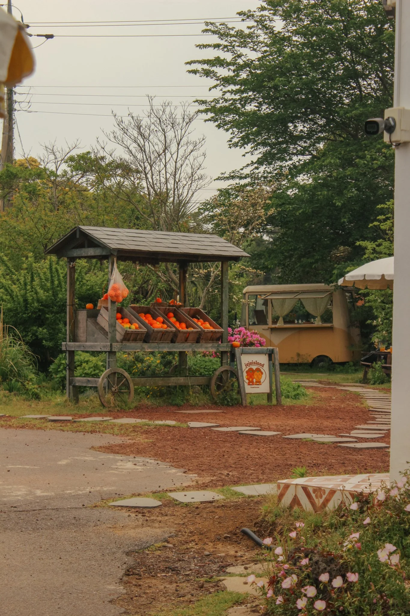 further than seoul - exploring Jeju island in South Korea