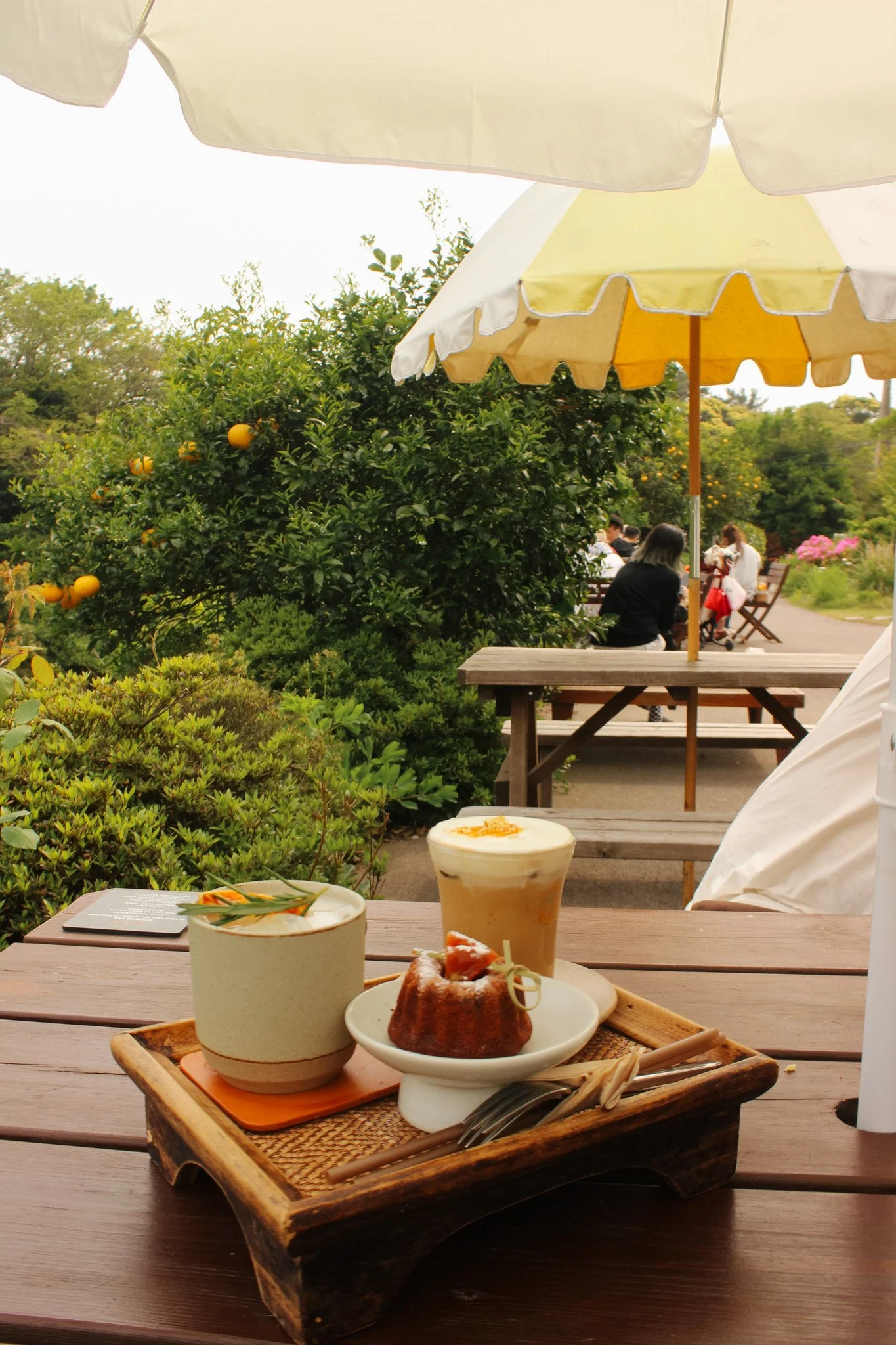 Exploring South Korea's Cafe Culture 