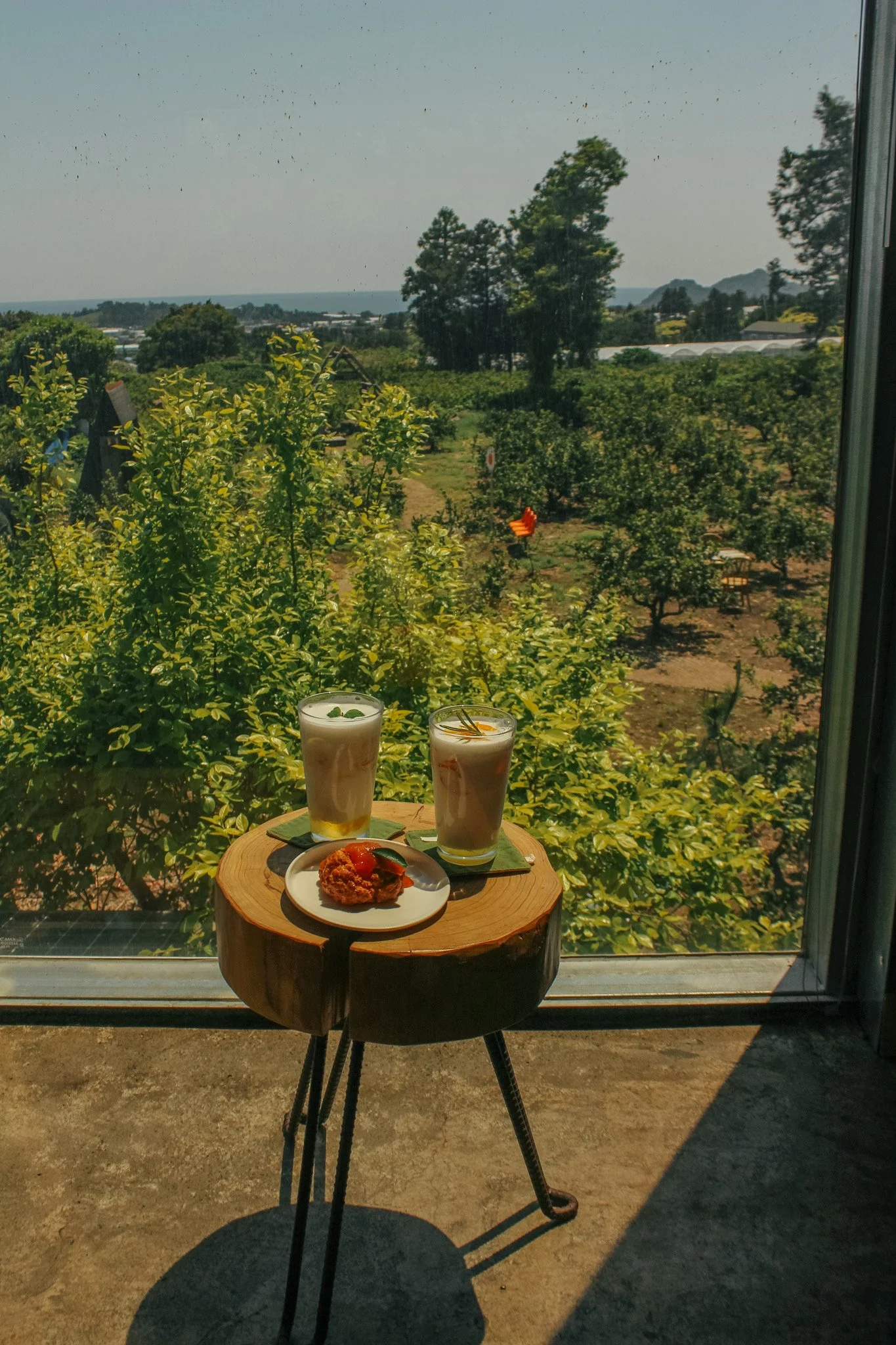 Exploring South Korea's Cafe Culture 