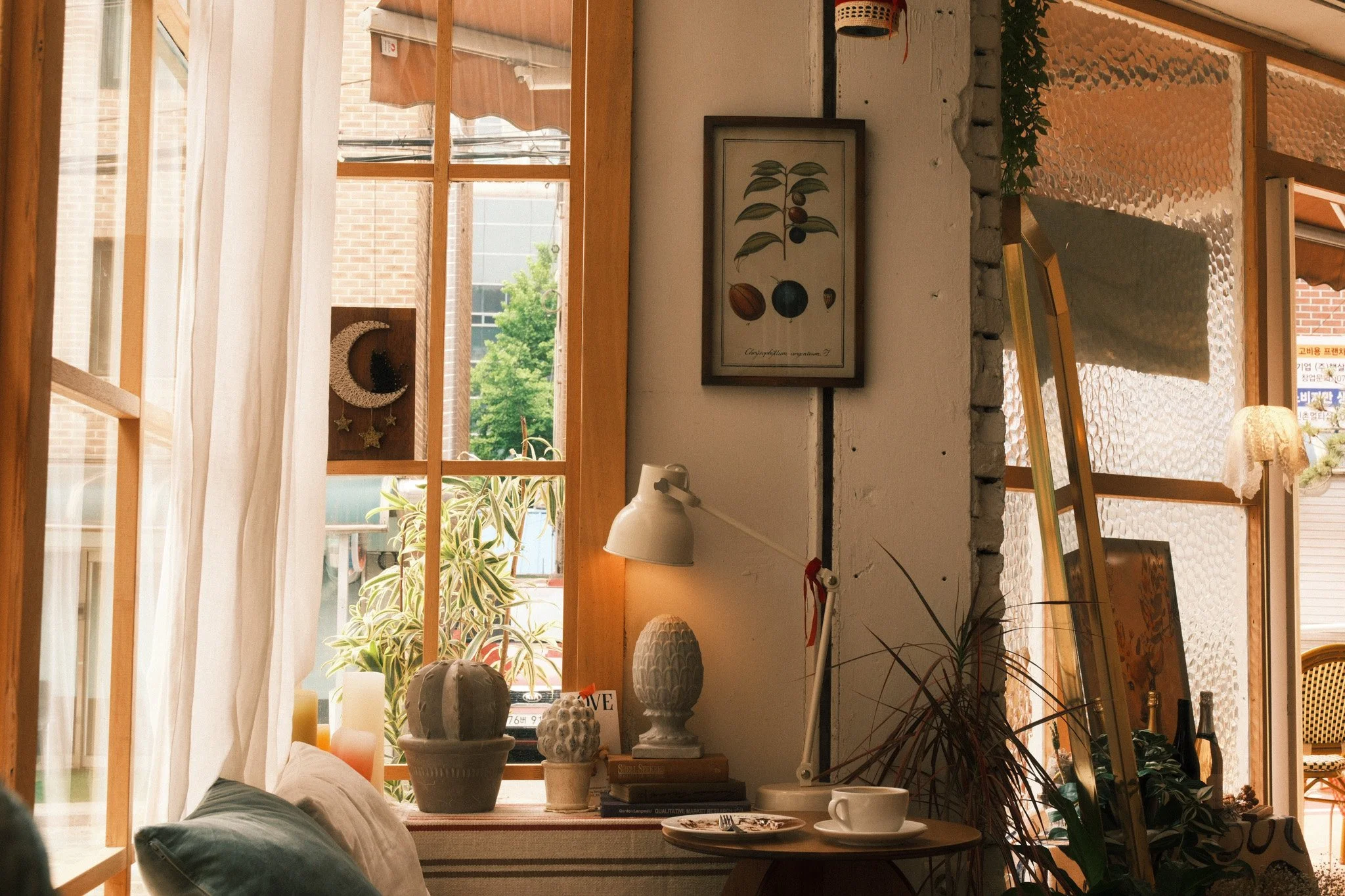 Exploring South Korea's Cafe Culture 