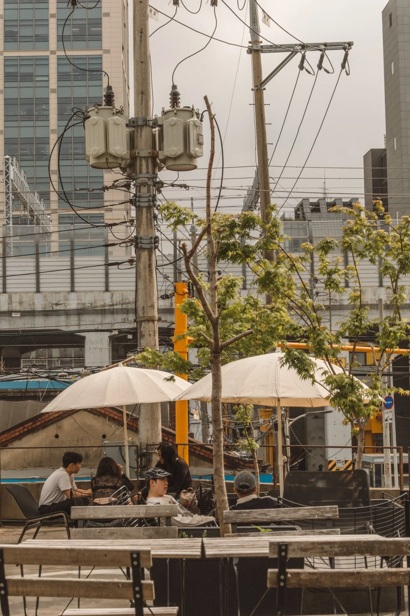 Exploring South Korea's Cafe Culture