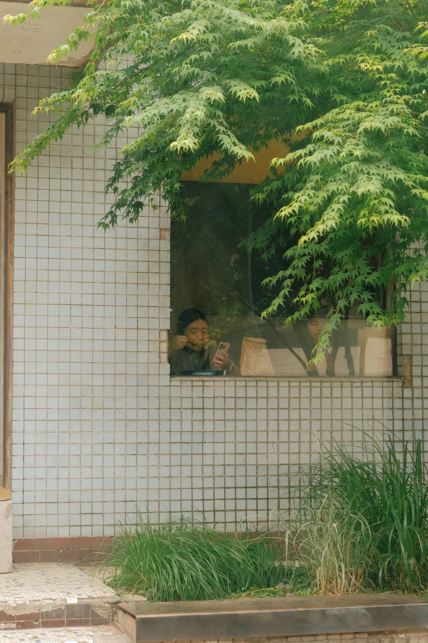 Exploring South Korea's Cafe Culture