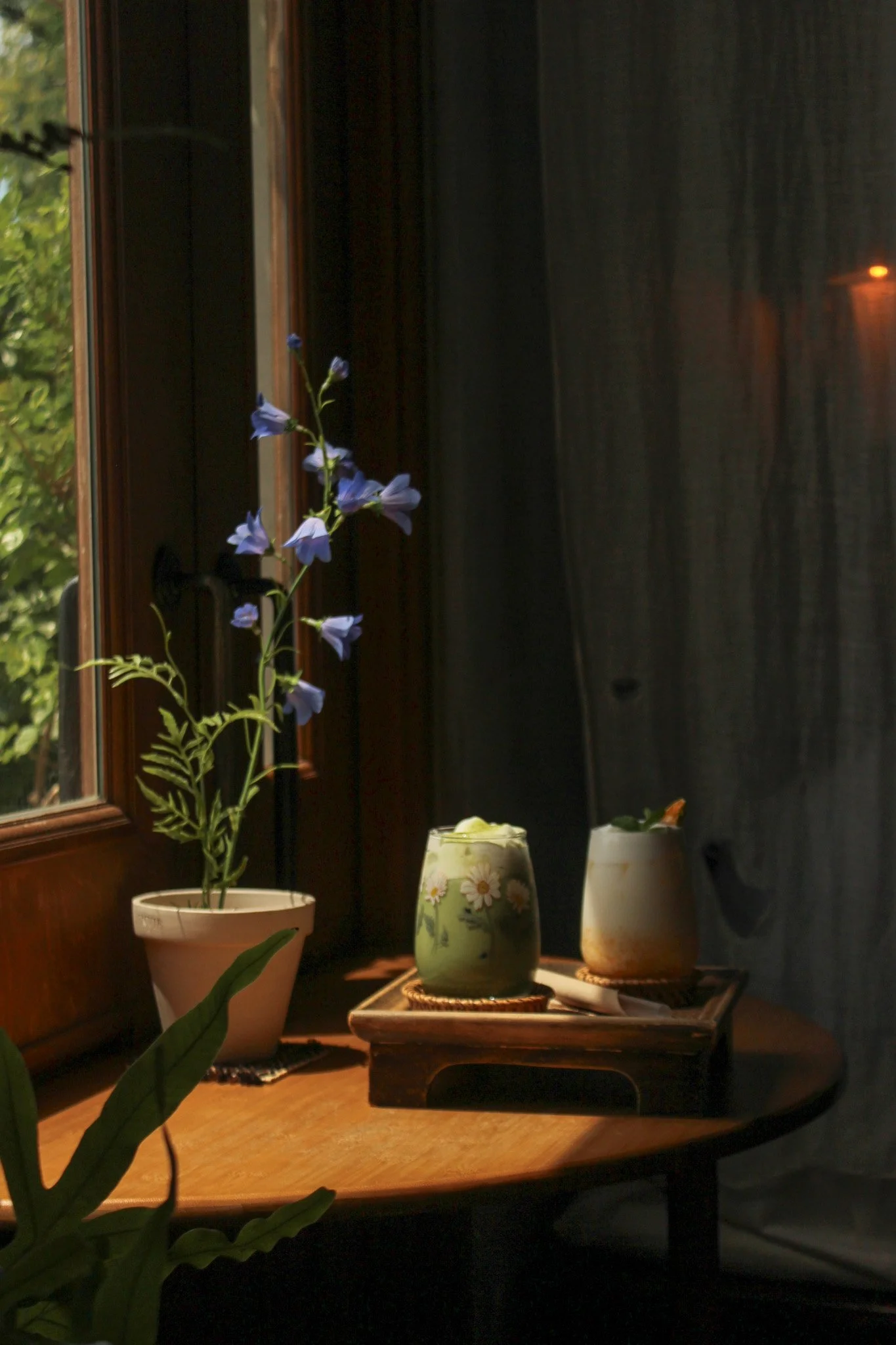 Exploring South Korea's Cafe Culture