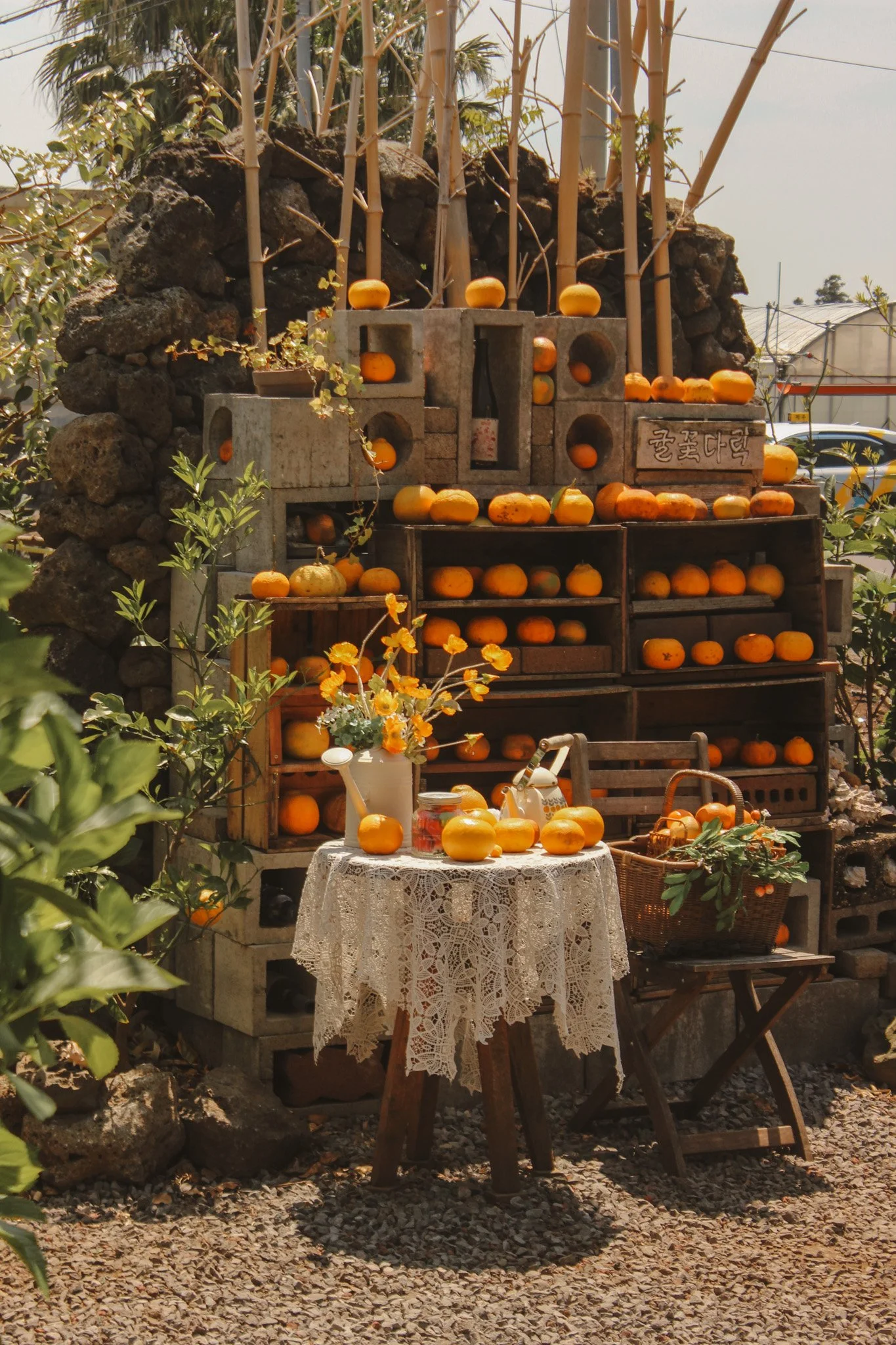 Exploring South Korea's Cafe Culture