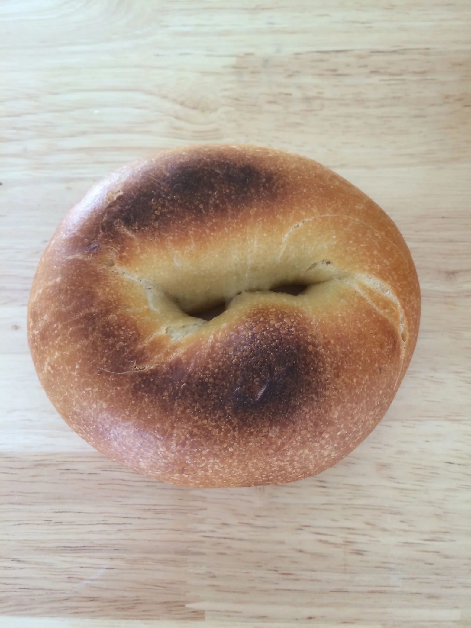 plain bagel.jpg