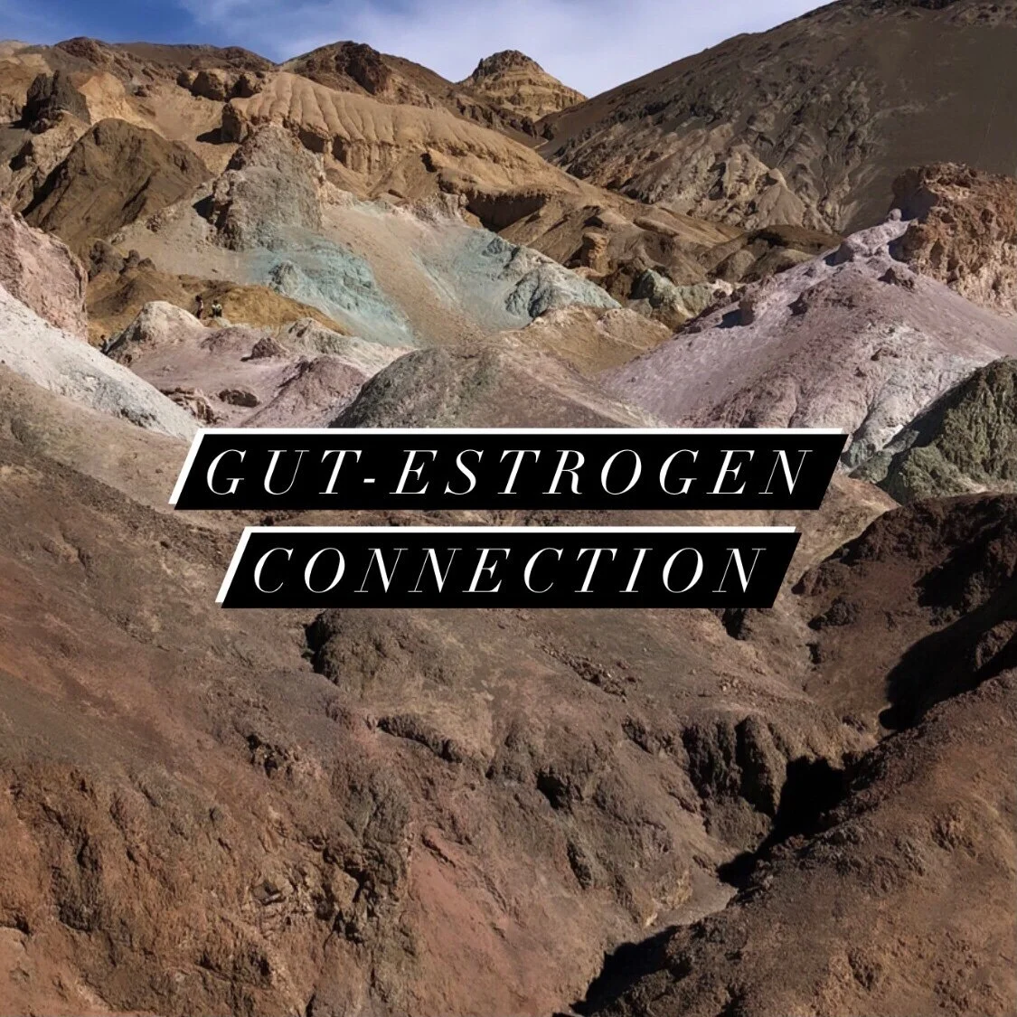 Estrobolome: The gut-estrogen connection