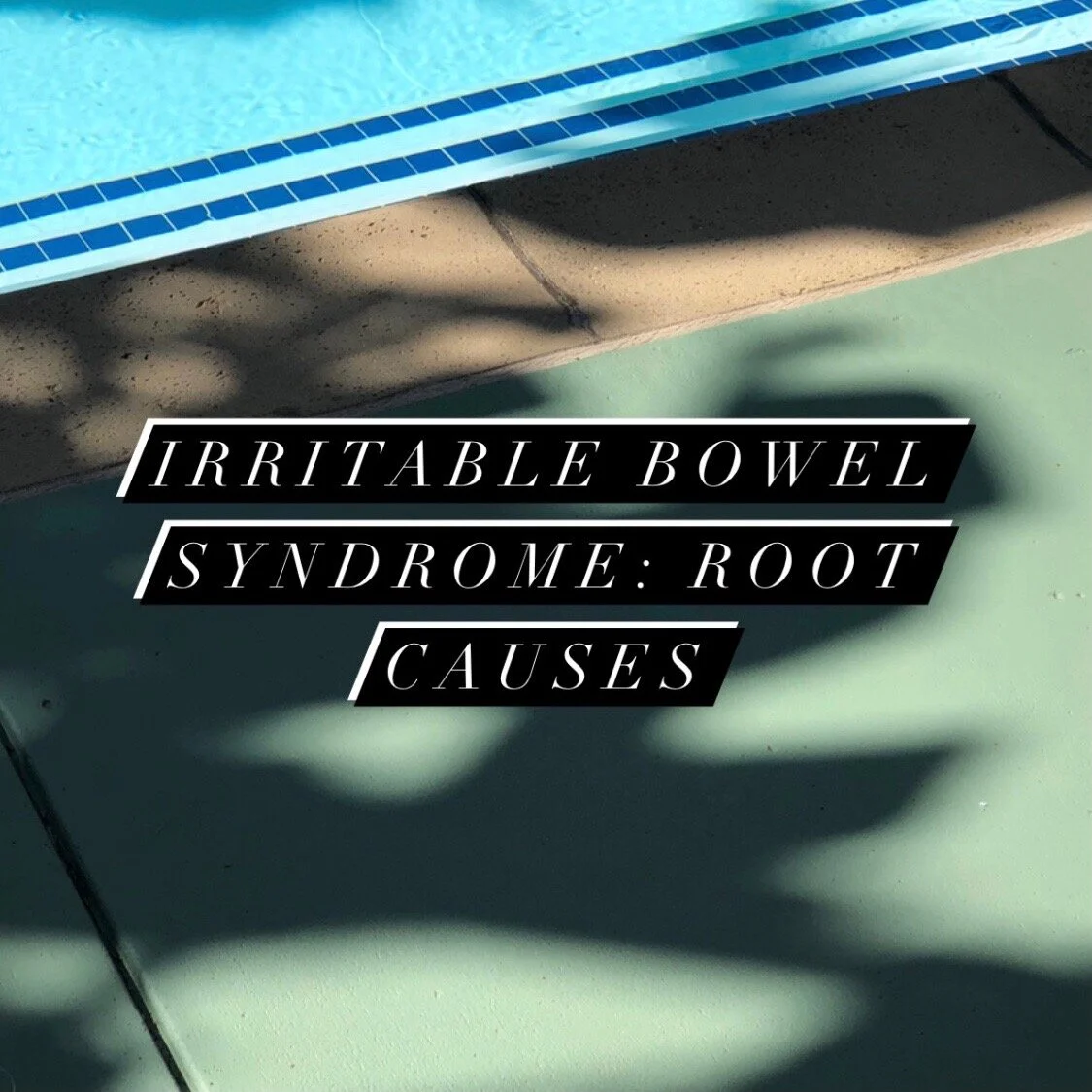 Irritable Bowel Syndrome (IBS), Pt 2: Root Causes