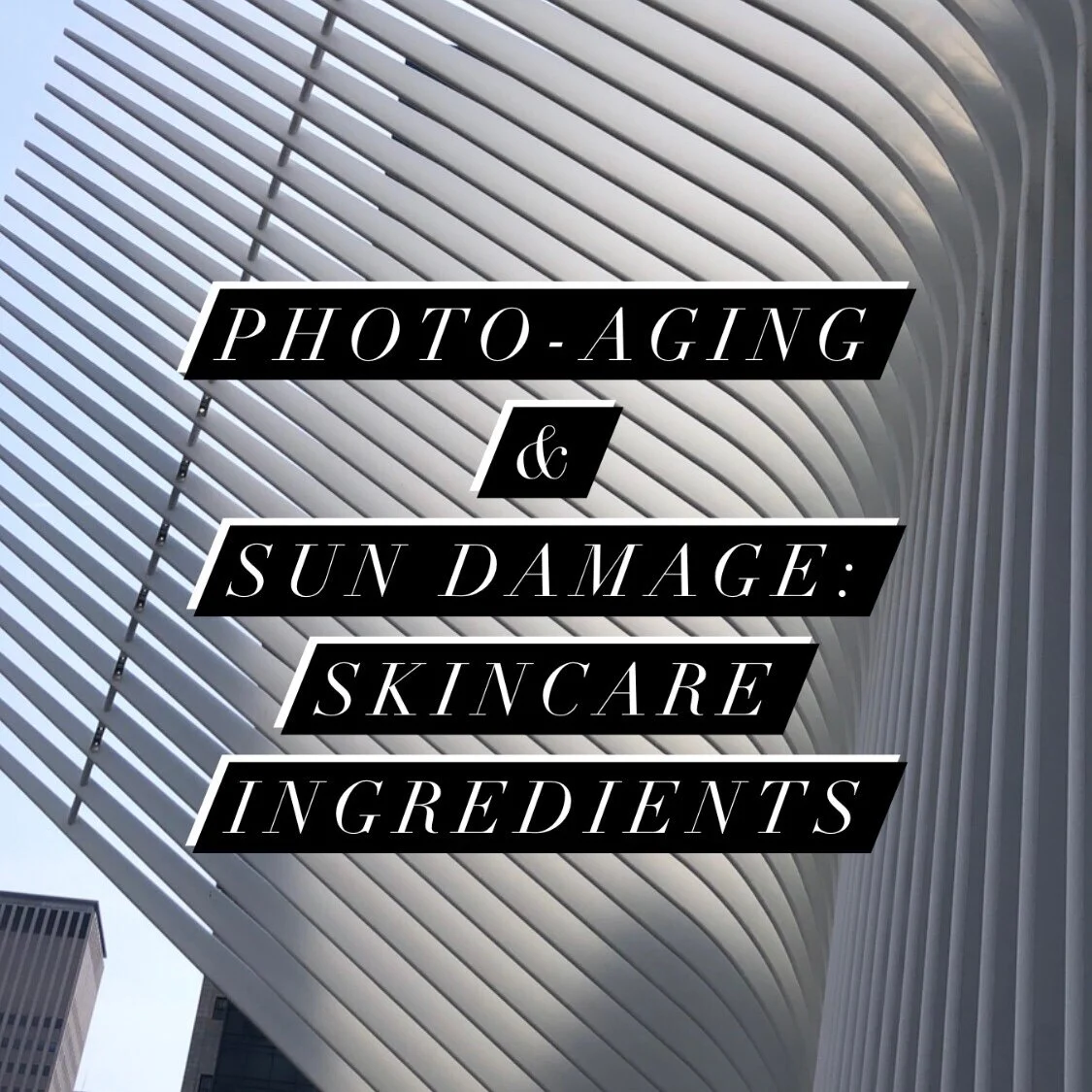 Photo-Aging and Sun Damage: Skincare Actives