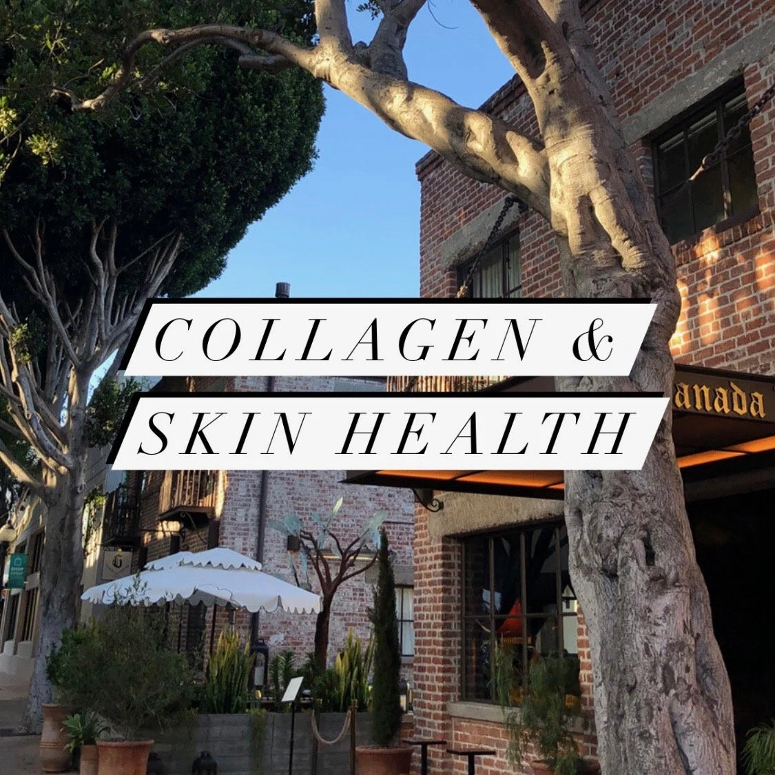 Collagen & Skin Health