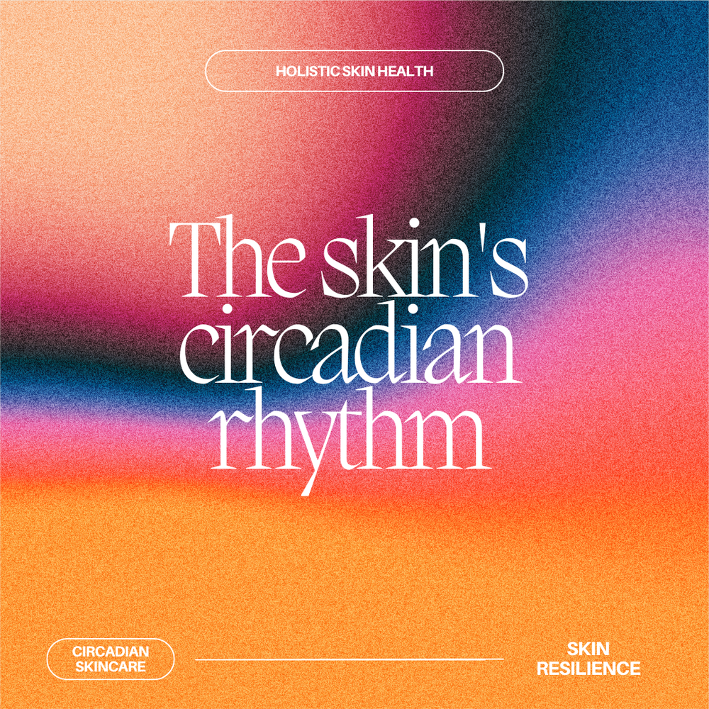 Skin Circadian Rhythm, 2.png
