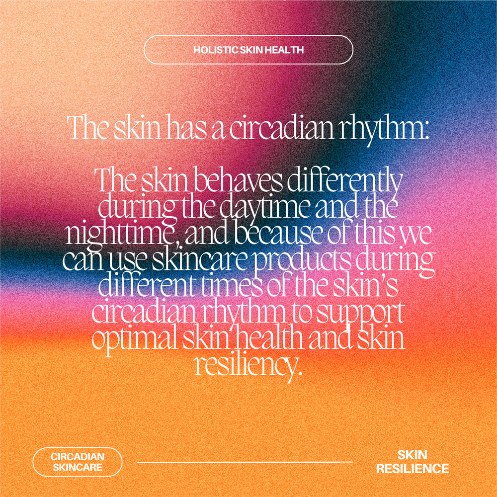 Skin Circadian Rhythm, 15.png