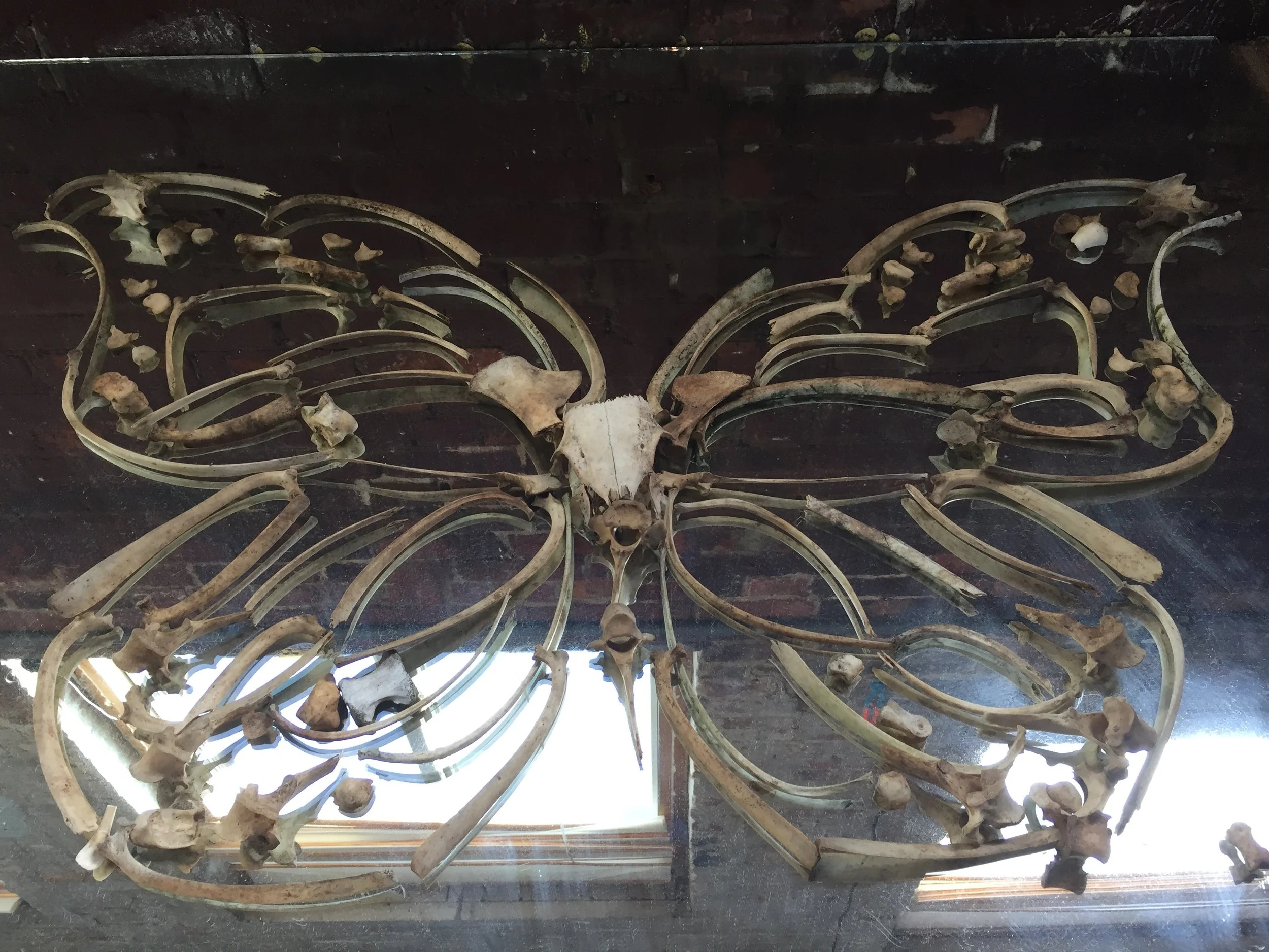 'Reform', 2017, 4x4', animal bones, mirror (1).JPG