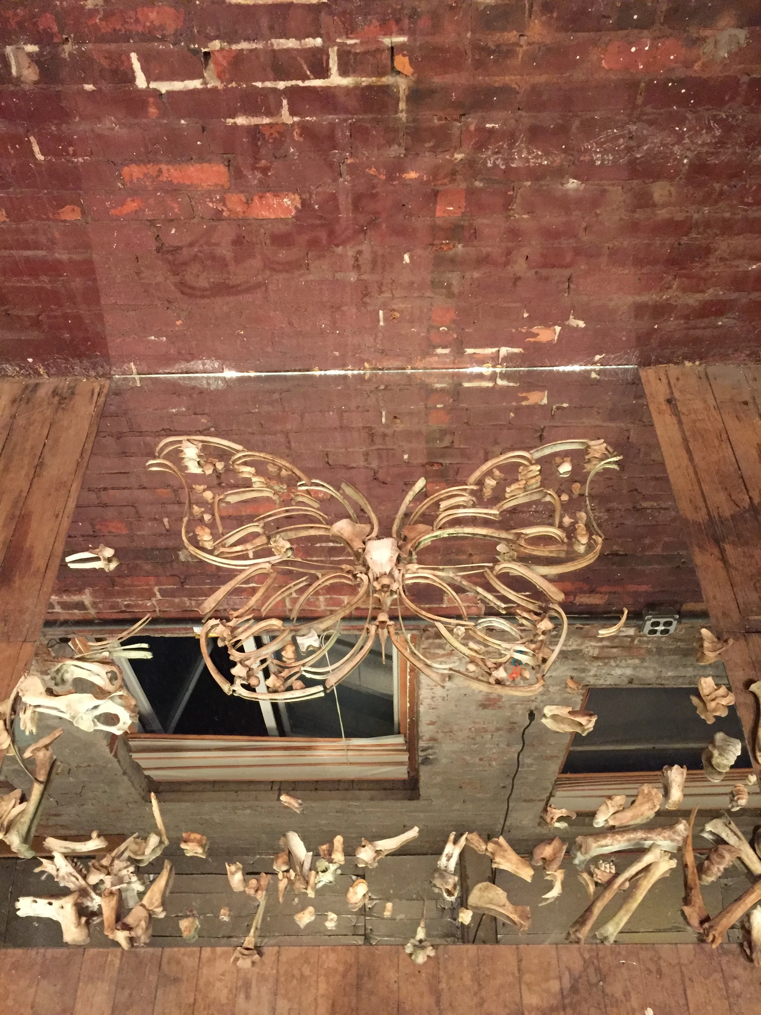 'Reform', 2017, 4x4', animal bones, mirror (3).JPG