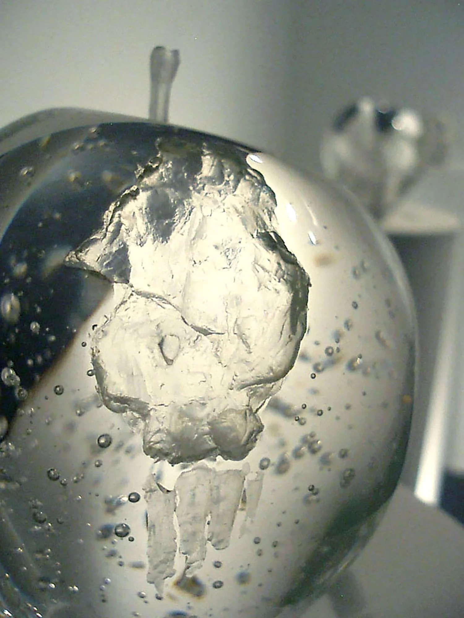 Bullseye Glass, Bay Area