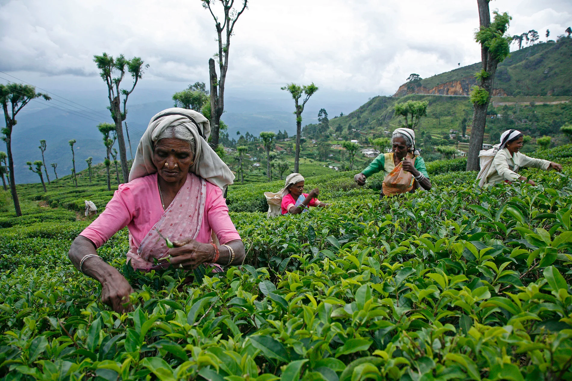 sri-lanka.jpg