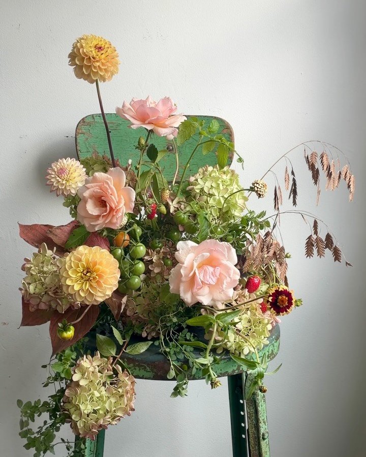 final offerings in various stages, from the gardens, before frost 

garden roses, hydrangea, strawberries, oregano, tomatoes, oats, dogwood, frost aster

dahlias, cosmos &amp; zinnia from @phillyfloralguild