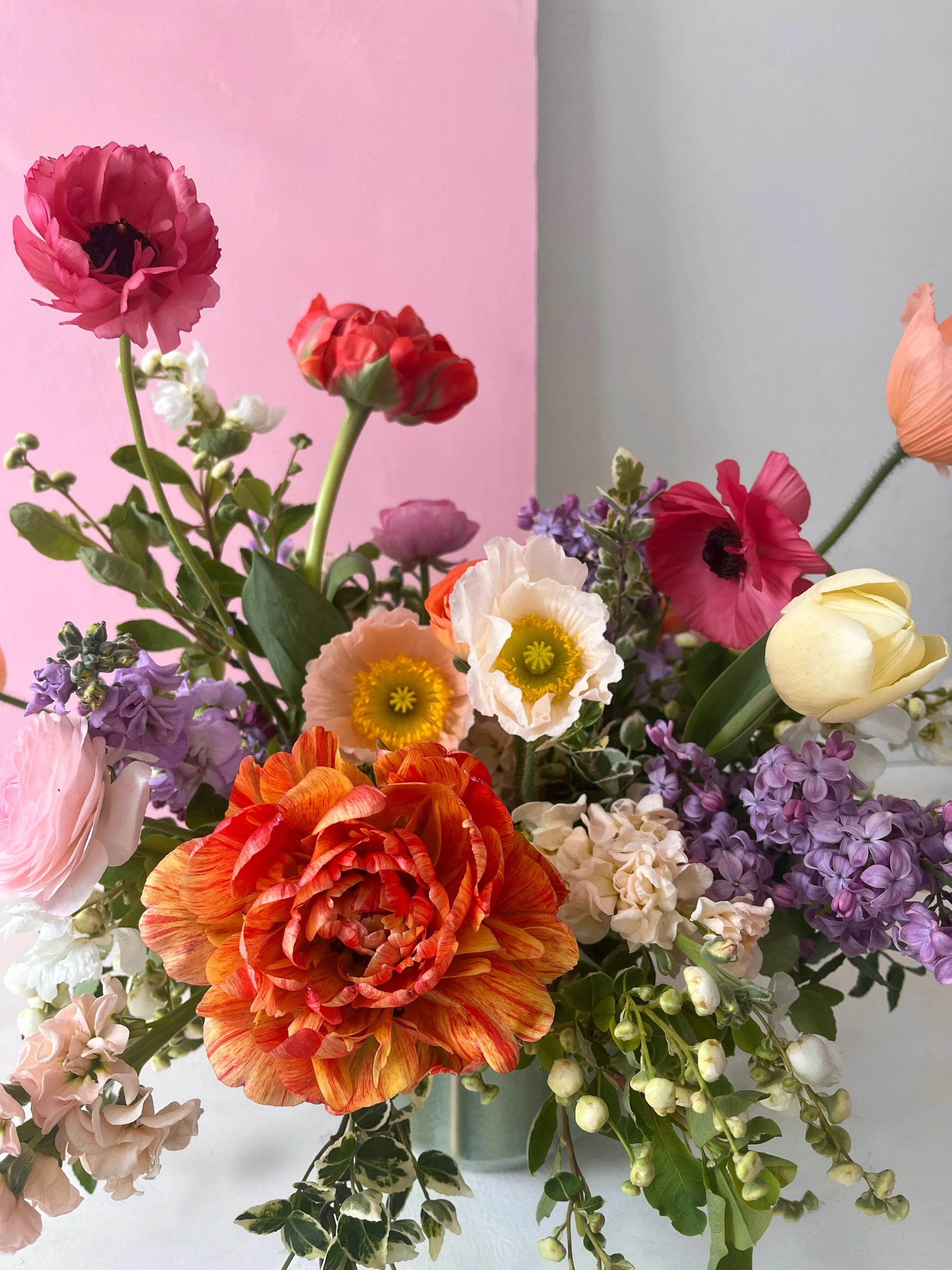 Facetune_15-04-2026-14-59-39.JPG (Copy)