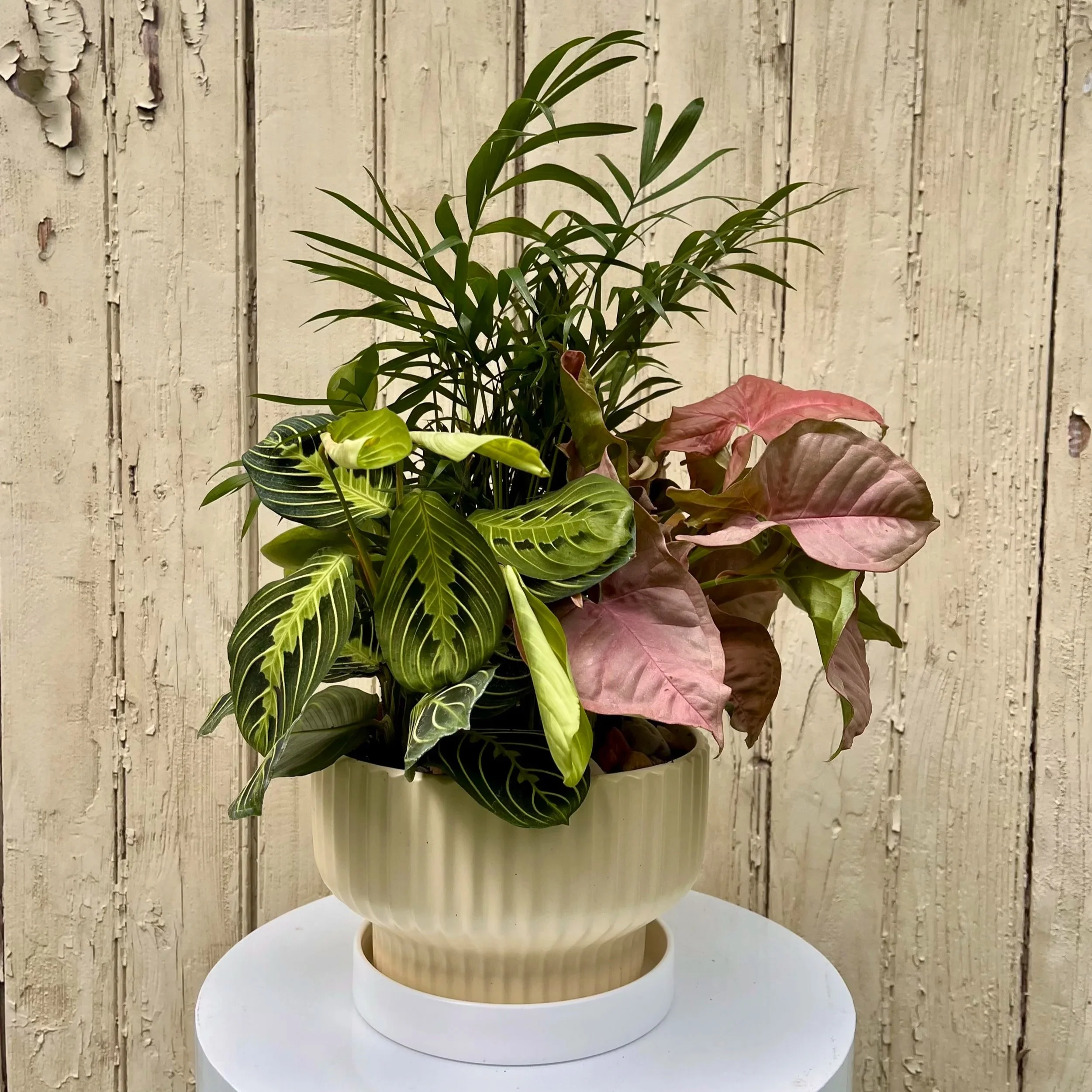 THE GARDEN PLANTER • Standard