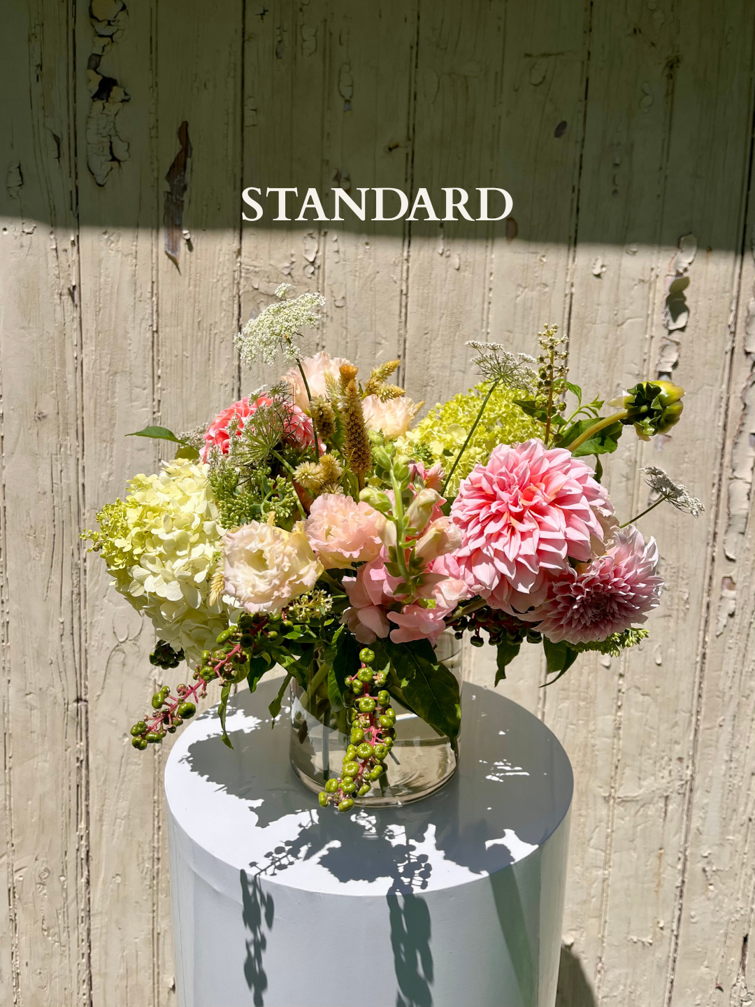 THE DESIGNER'S CHOICE • Vase