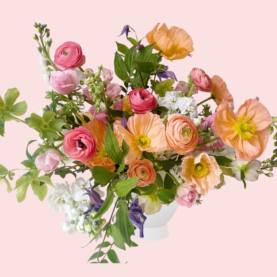 Studio & Website Graphics-3.png