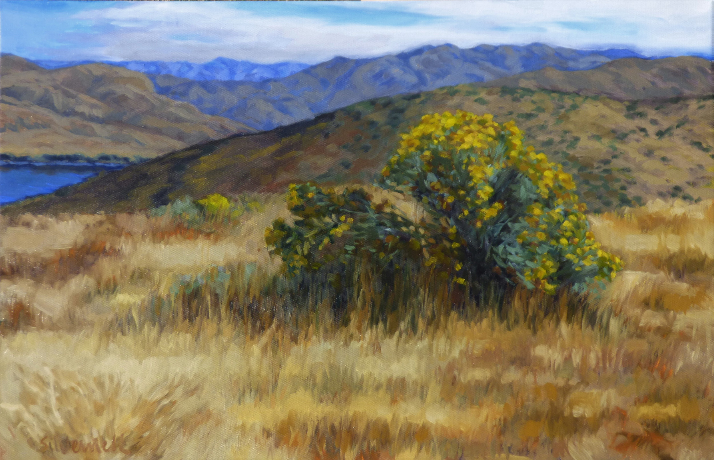 Lydle Gulch- Rabbitbrush