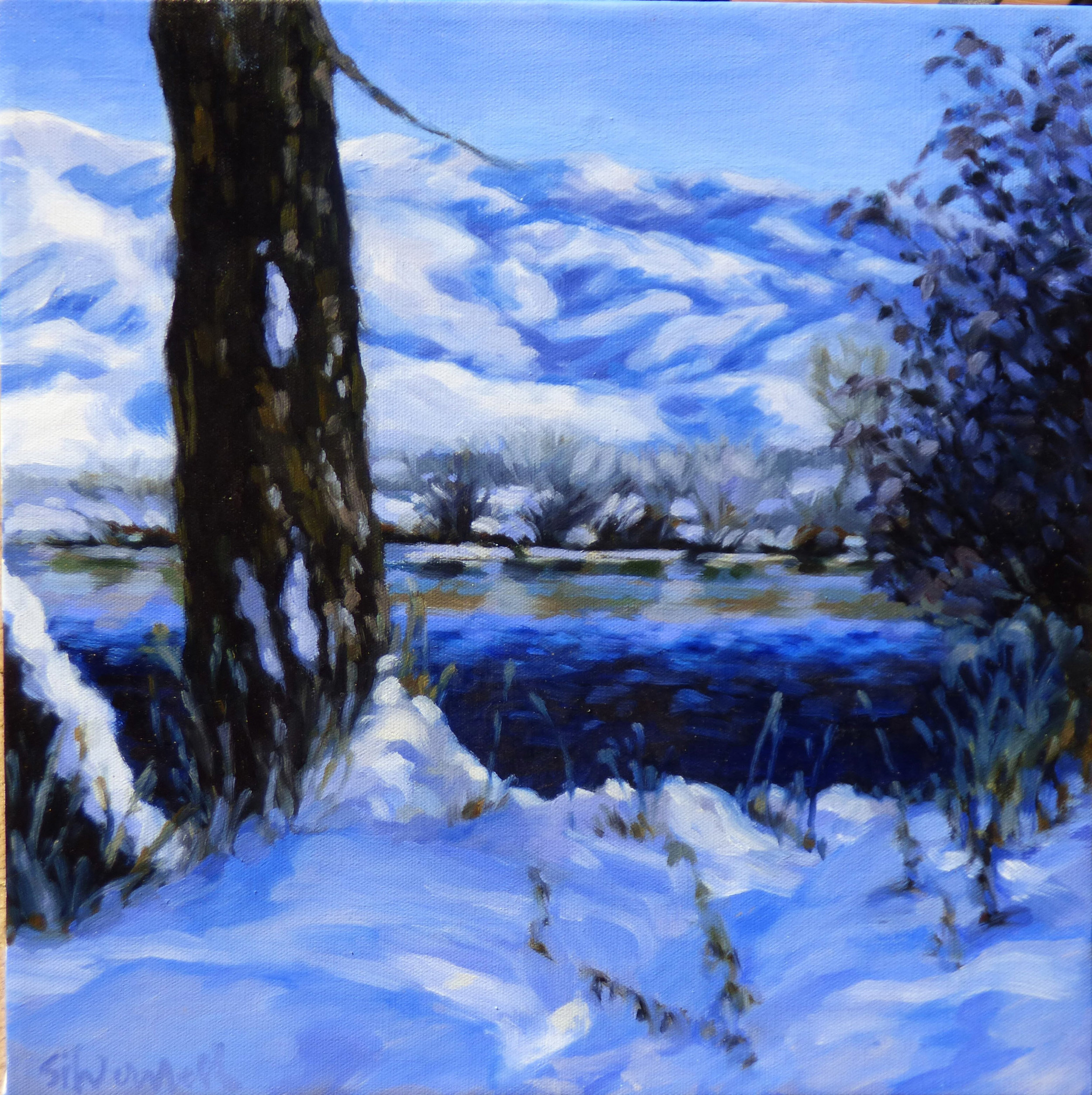 Winter River