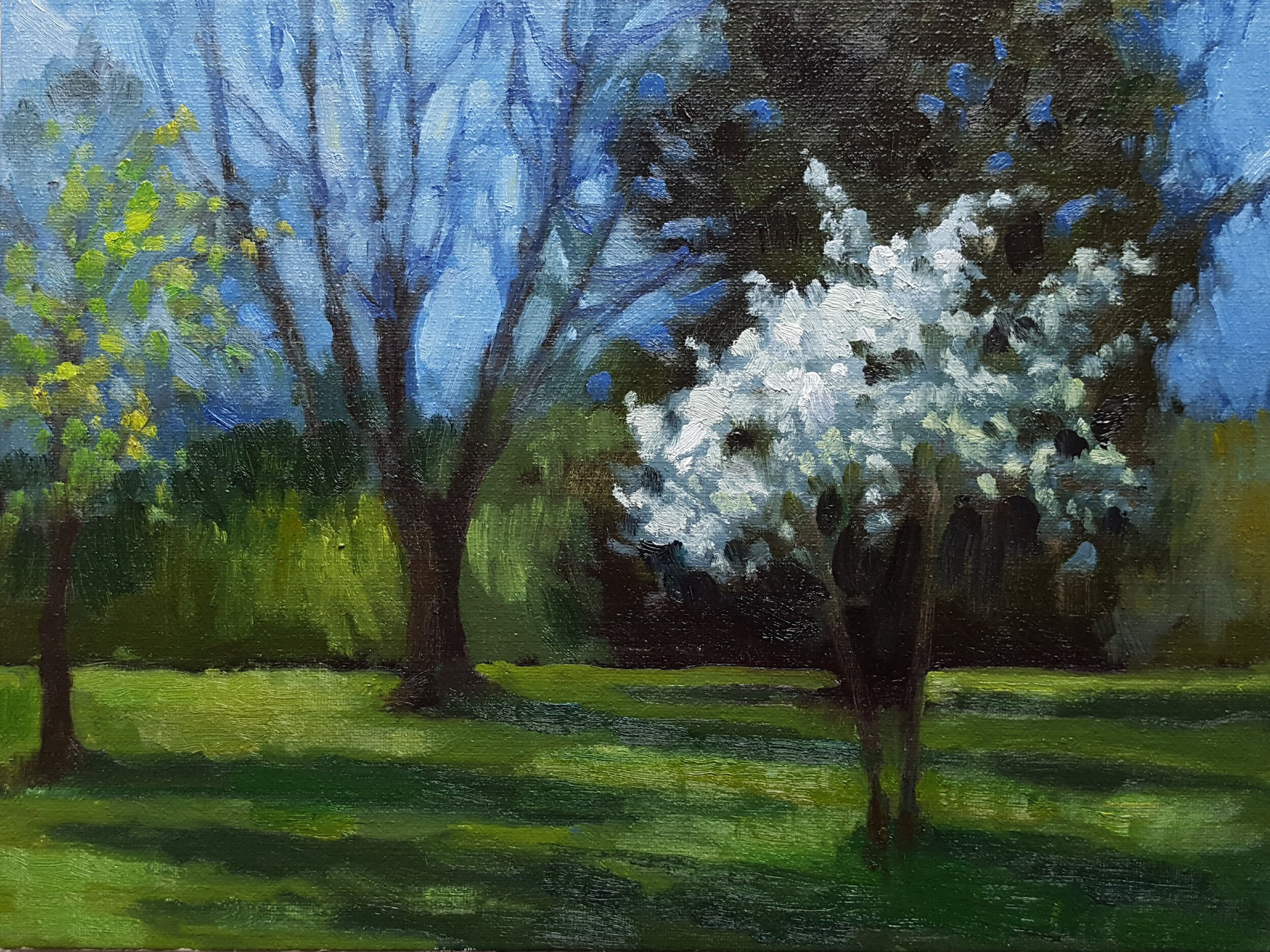 Spring Trees