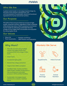 Brochure highlighting who Mara renerables are, their heritage in microalgal omega-3 DHA and markets they serve - supplements, animal nutrition, infant formula and food and beverage