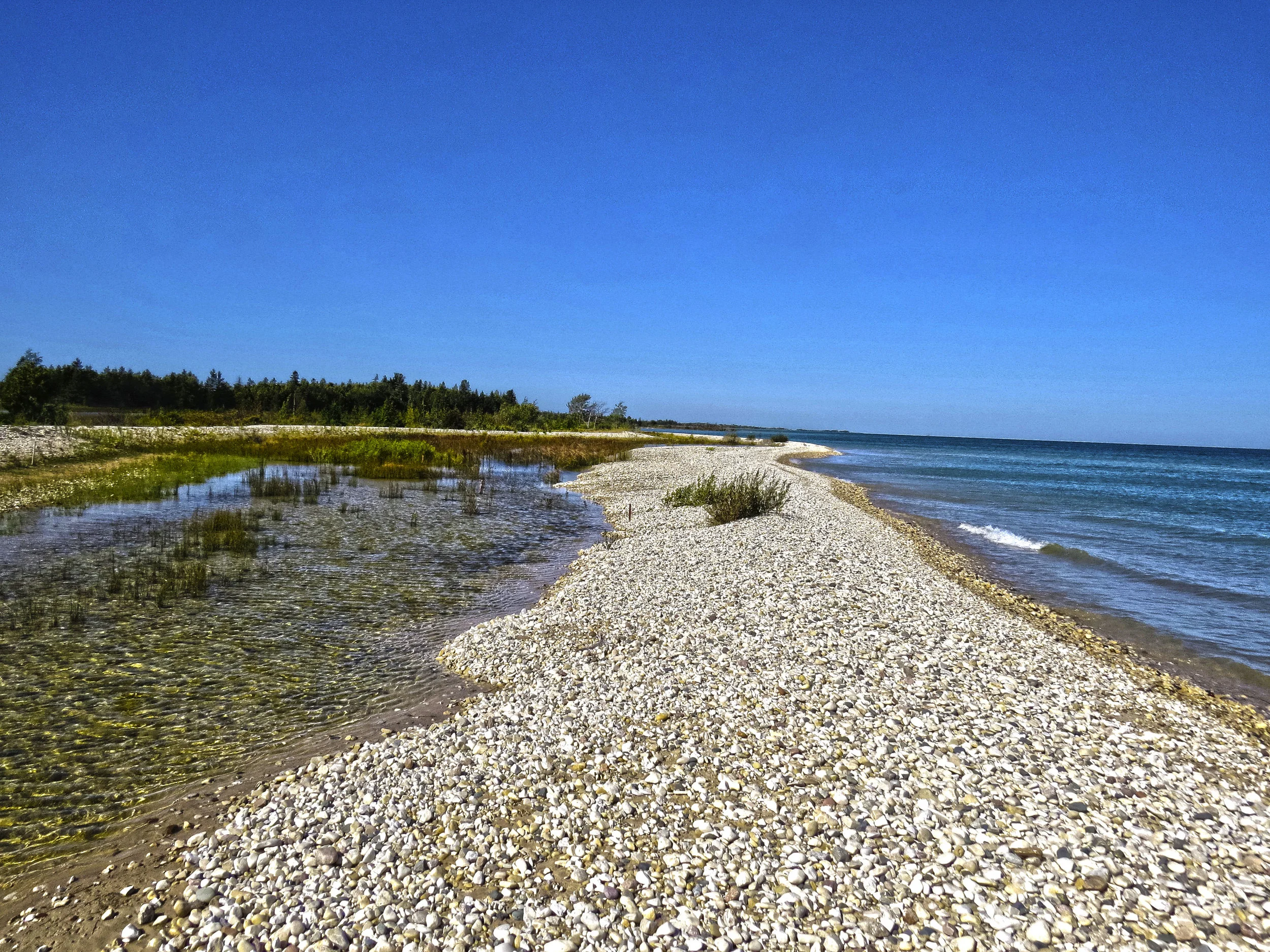 Wilderness State Park (Lake Michigan)