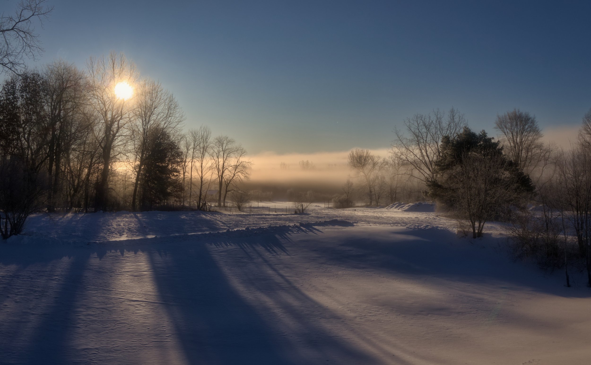 Cold Morning