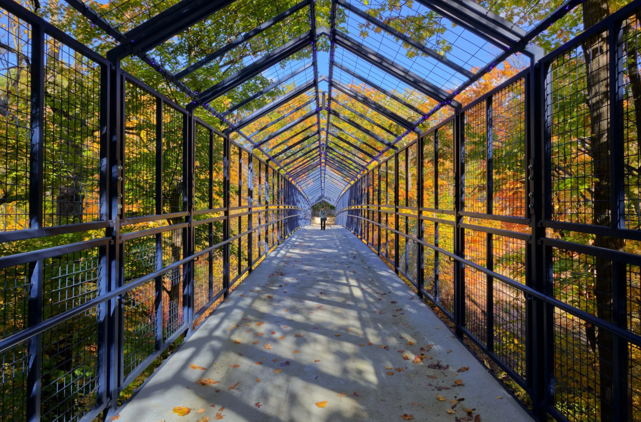 Week 43 - Centered Composition